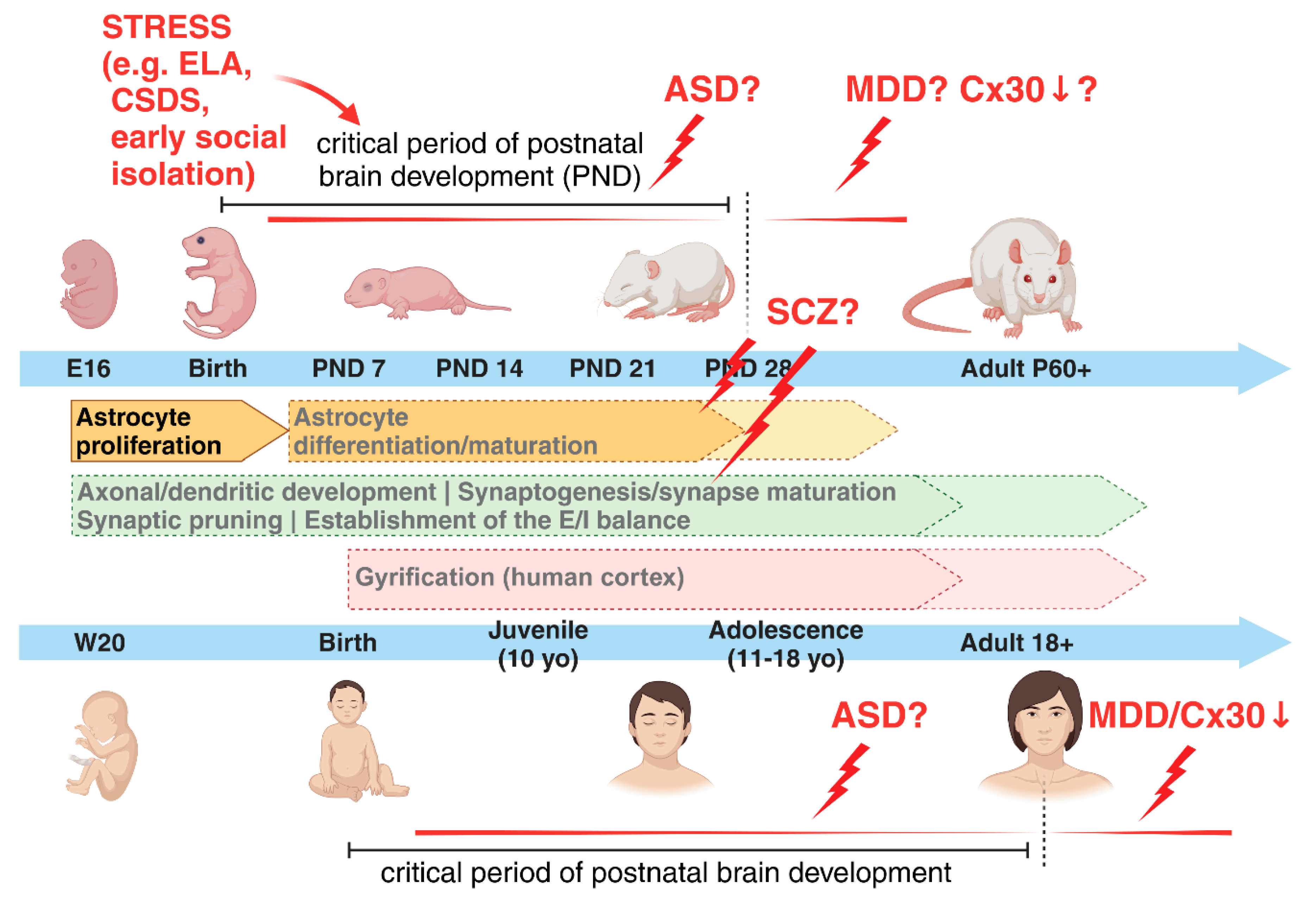Preprints 101214 g002
