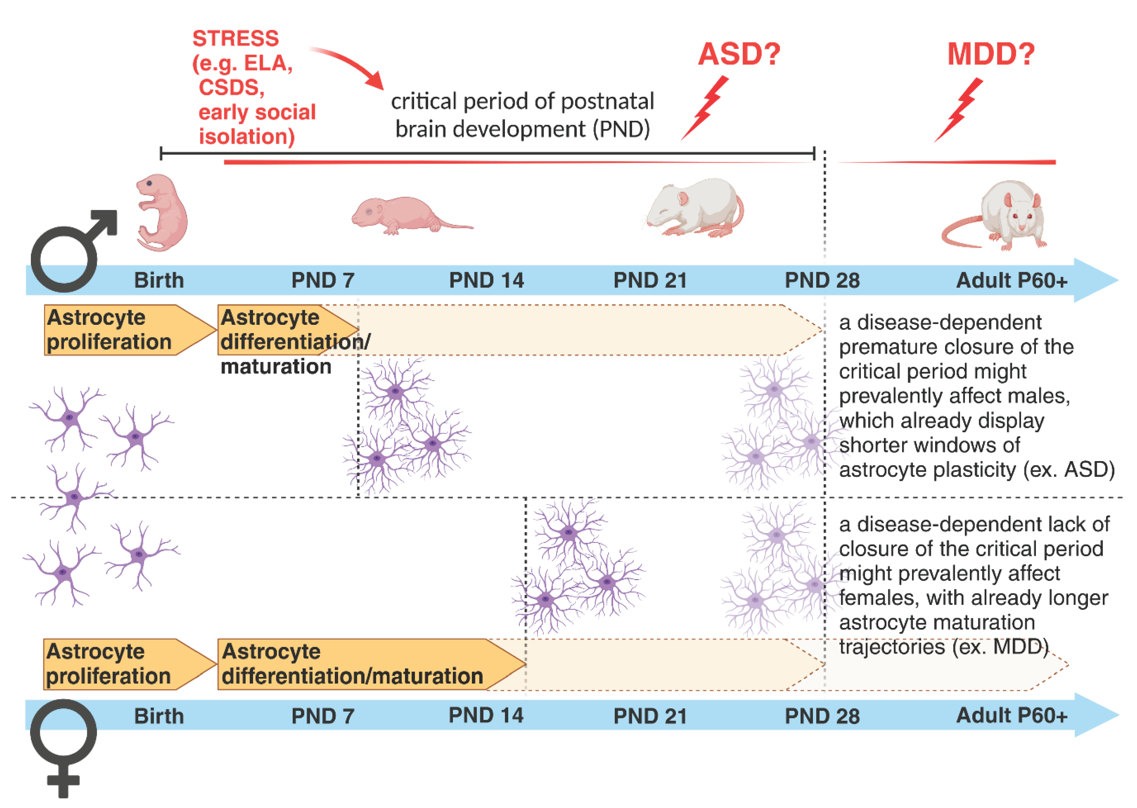 Preprints 101214 g004