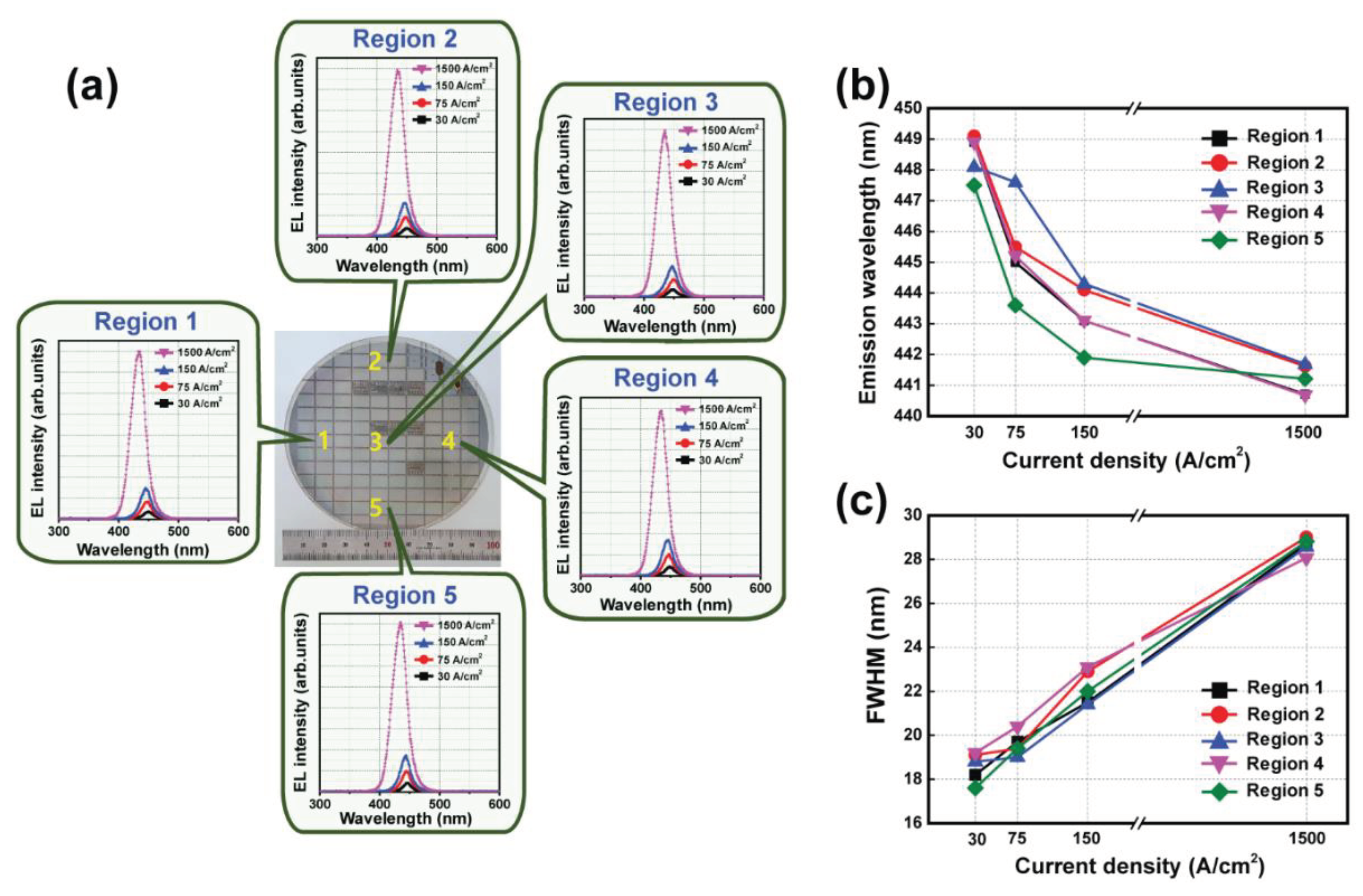 Preprints 101835 g006