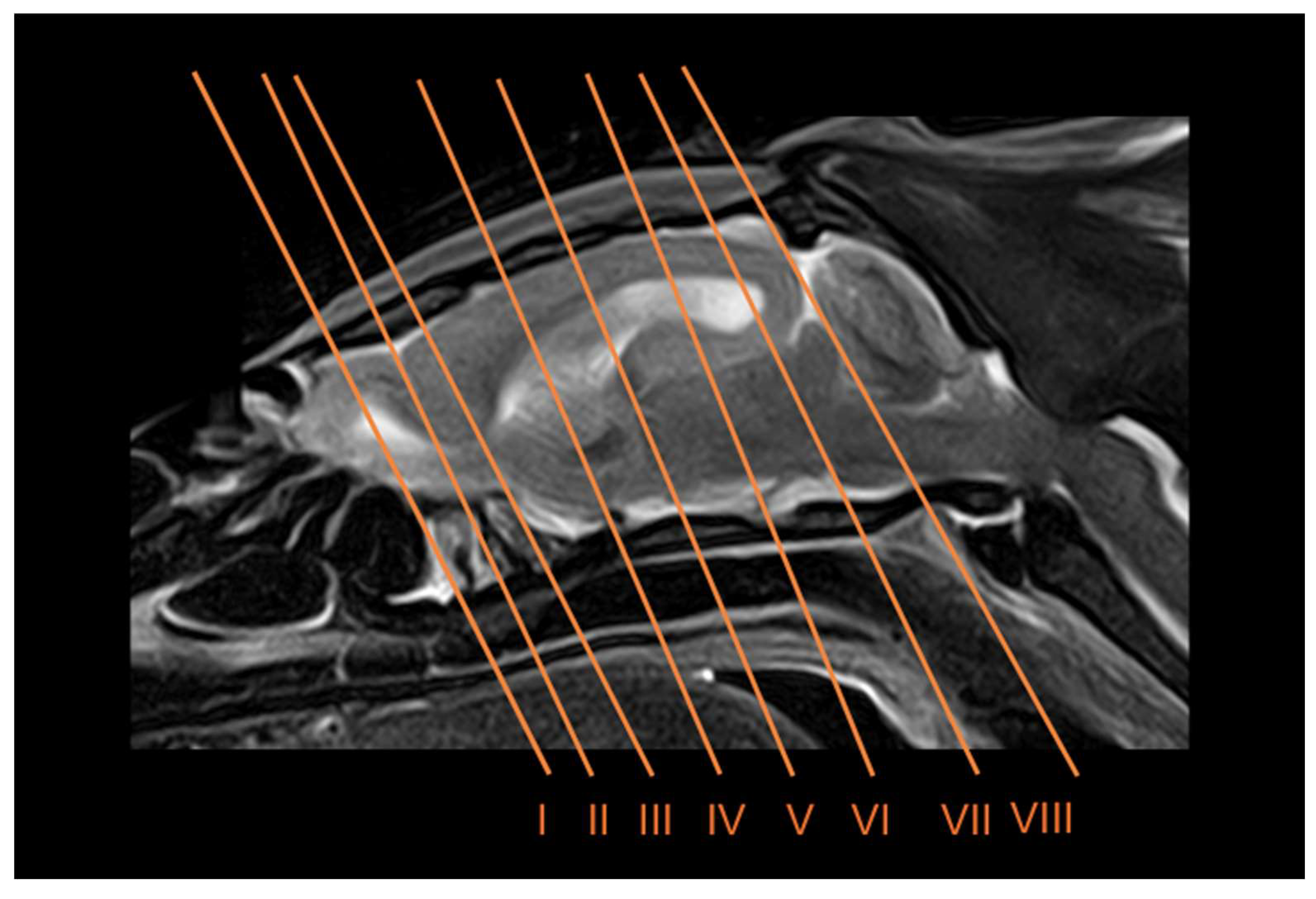 Preprints 144851 g001