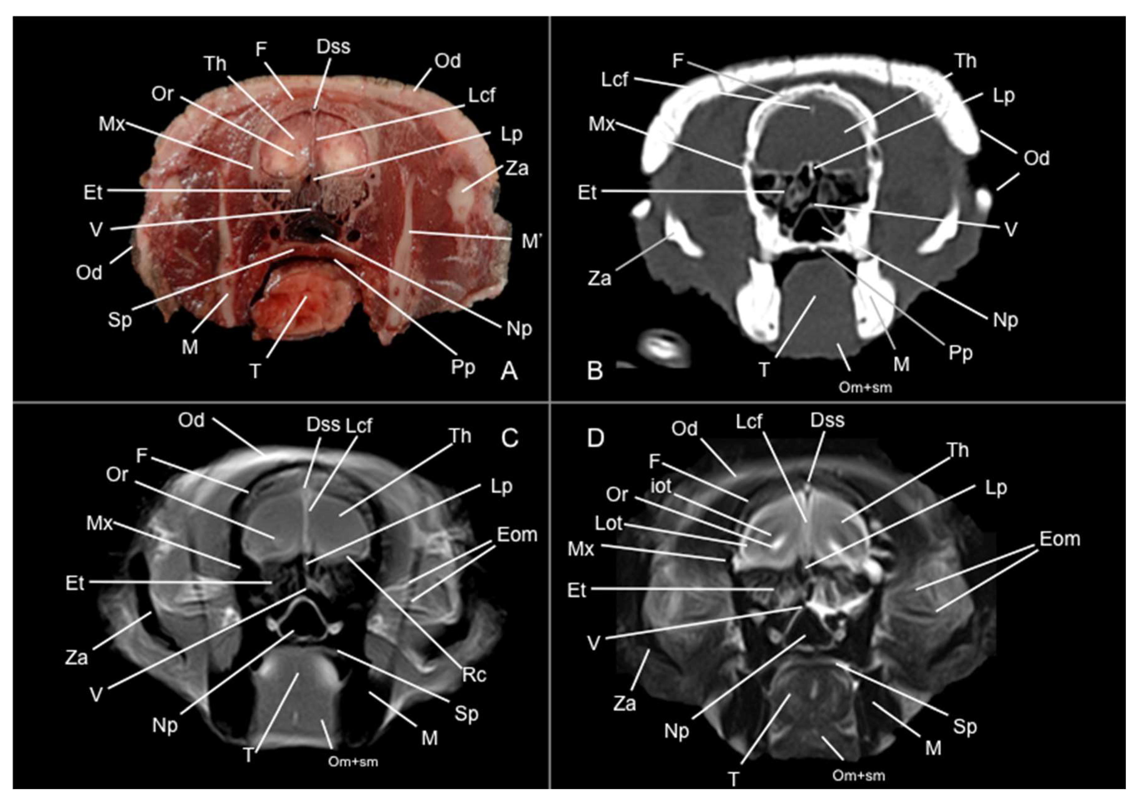 Preprints 144851 g003