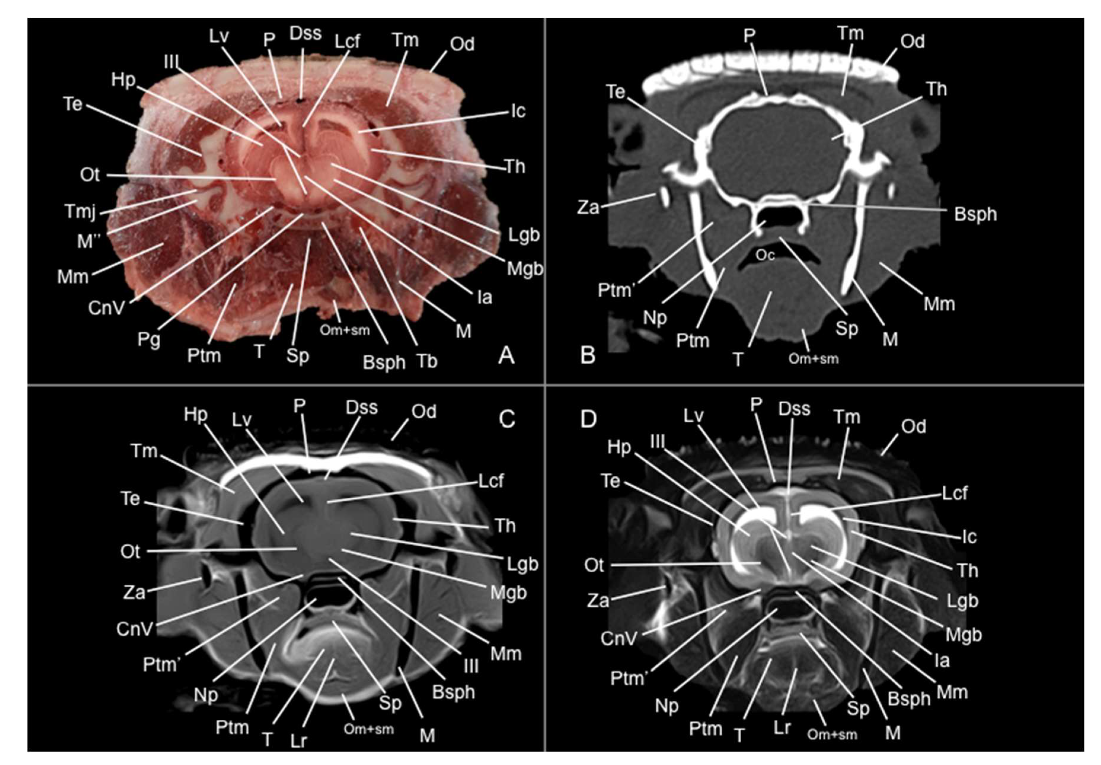 Preprints 144851 g007