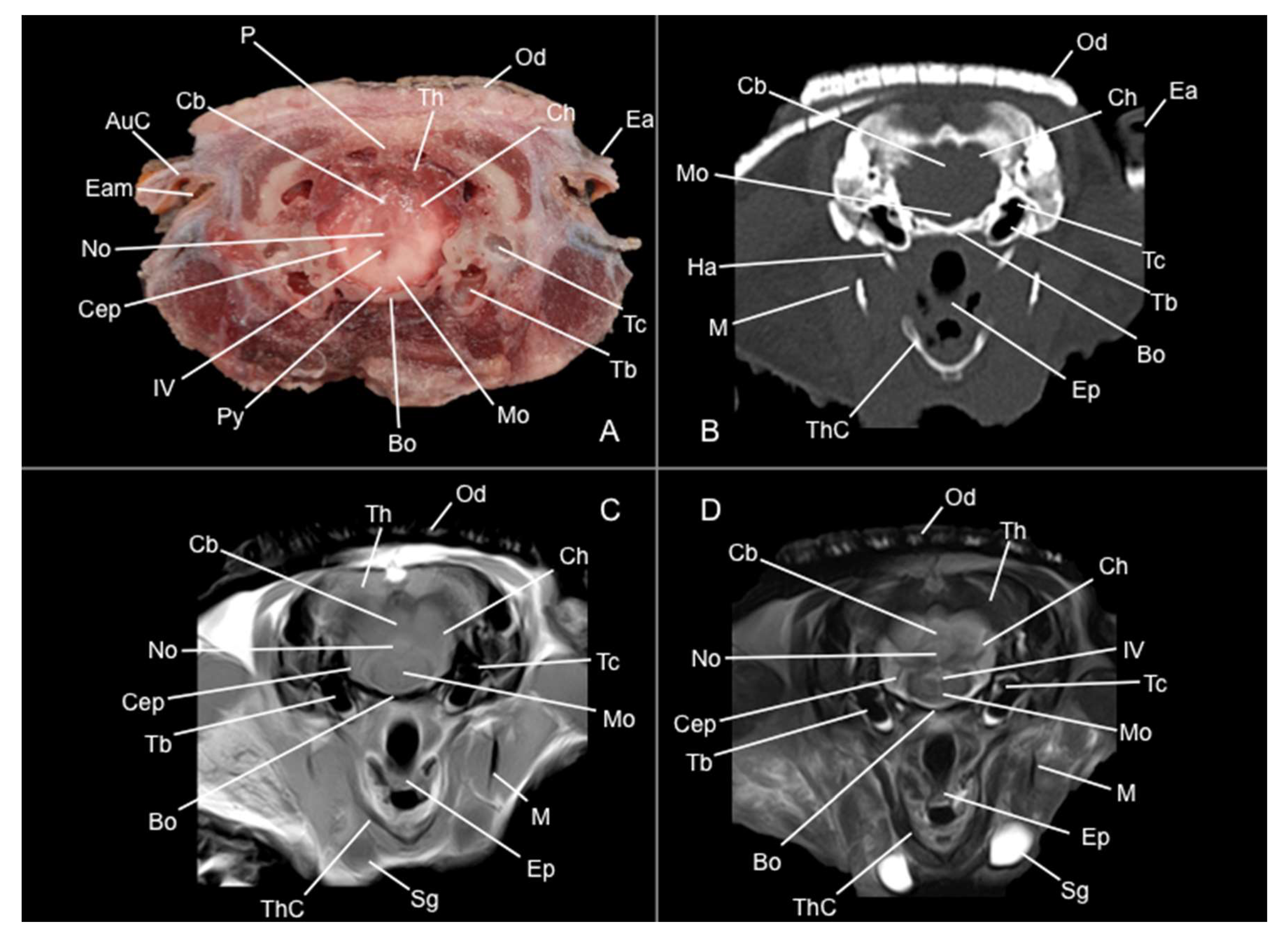 Preprints 144851 g009