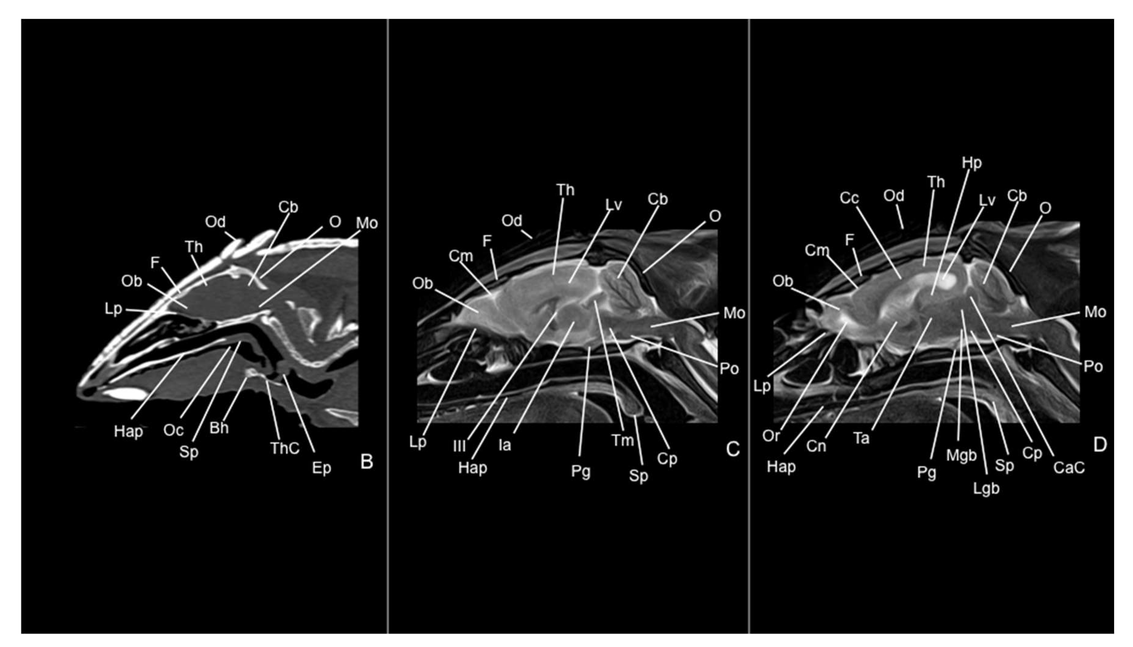 Preprints 144851 g010