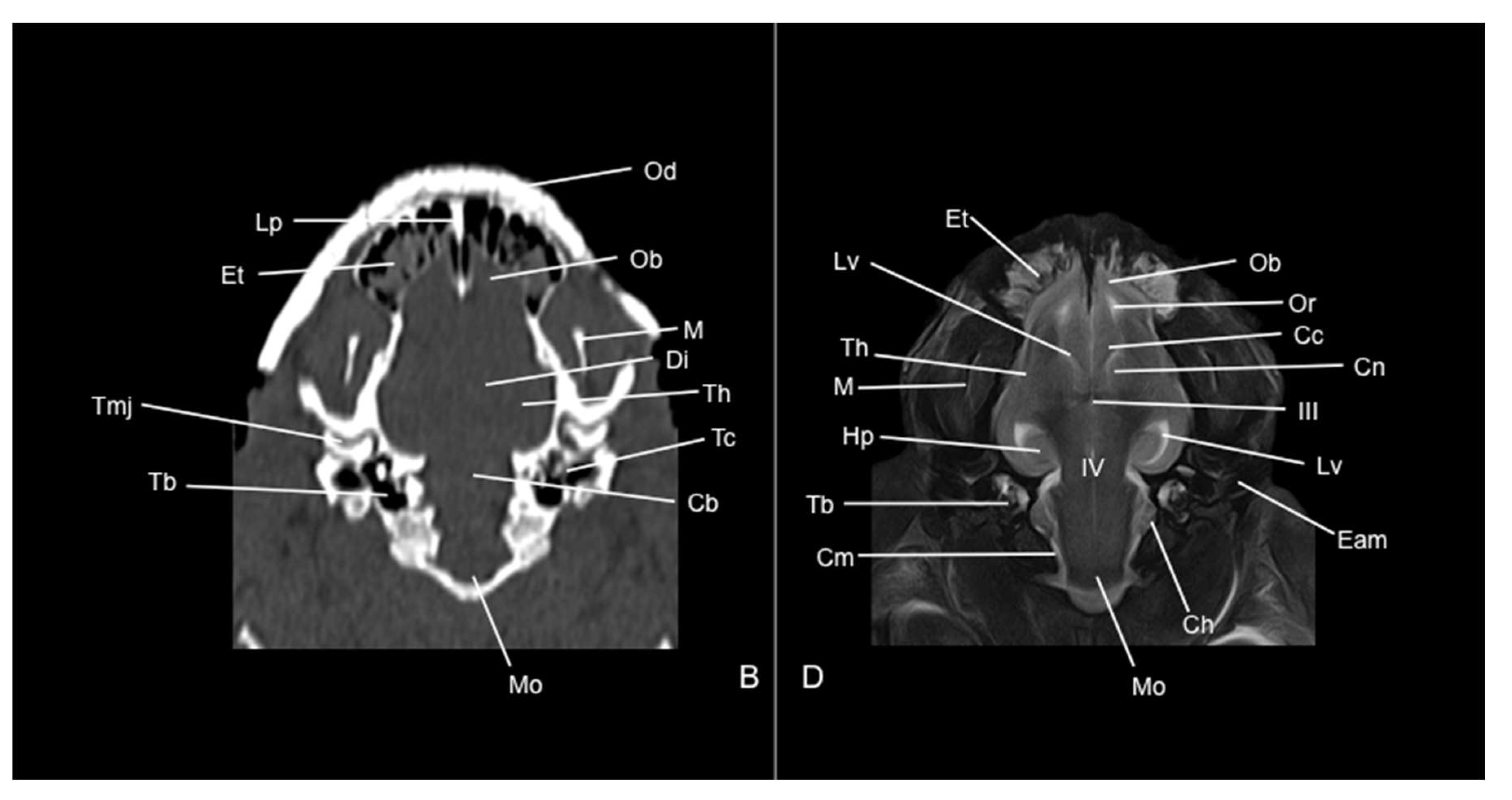 Preprints 144851 g011