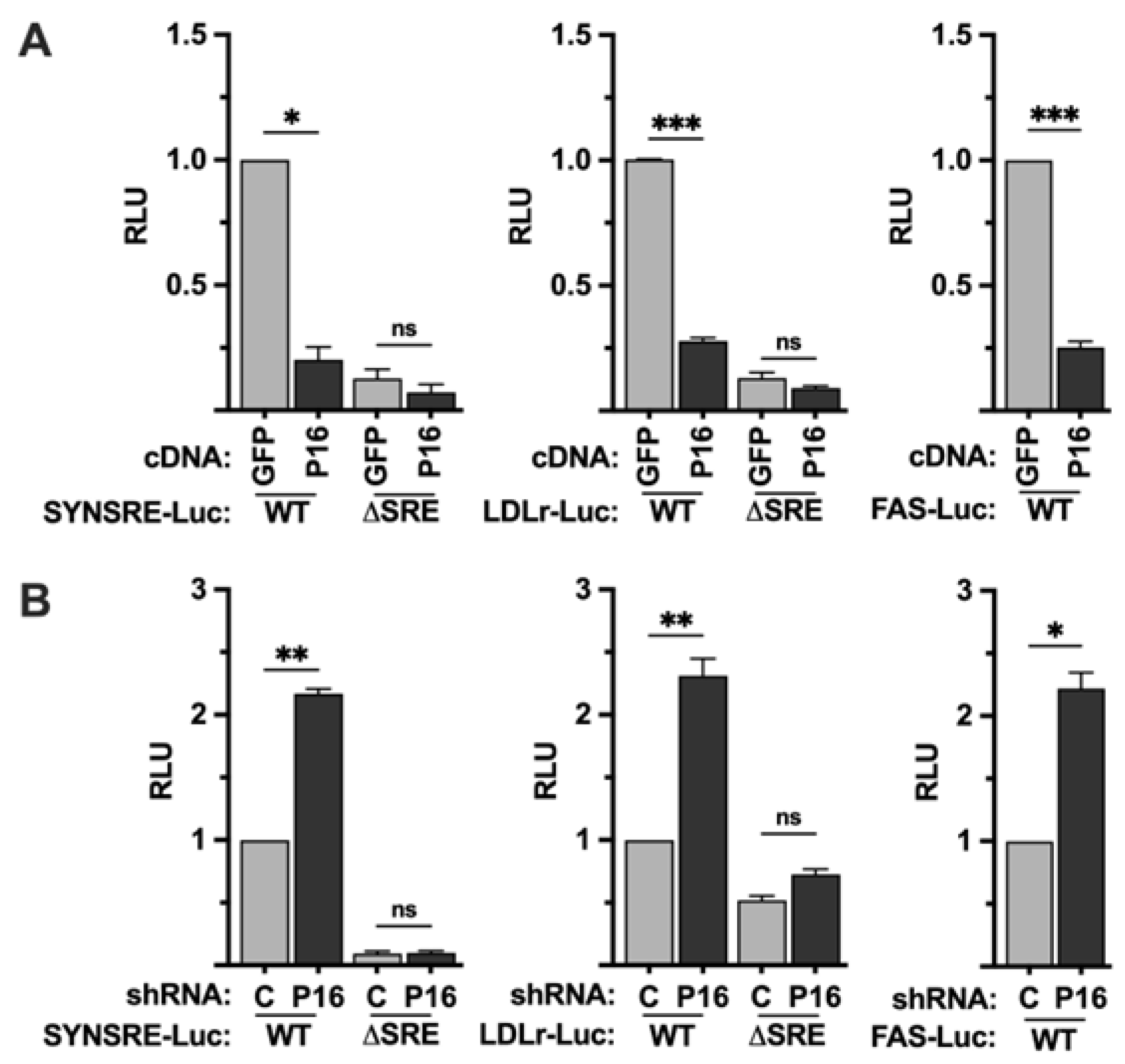 Preprints 174635 g001
