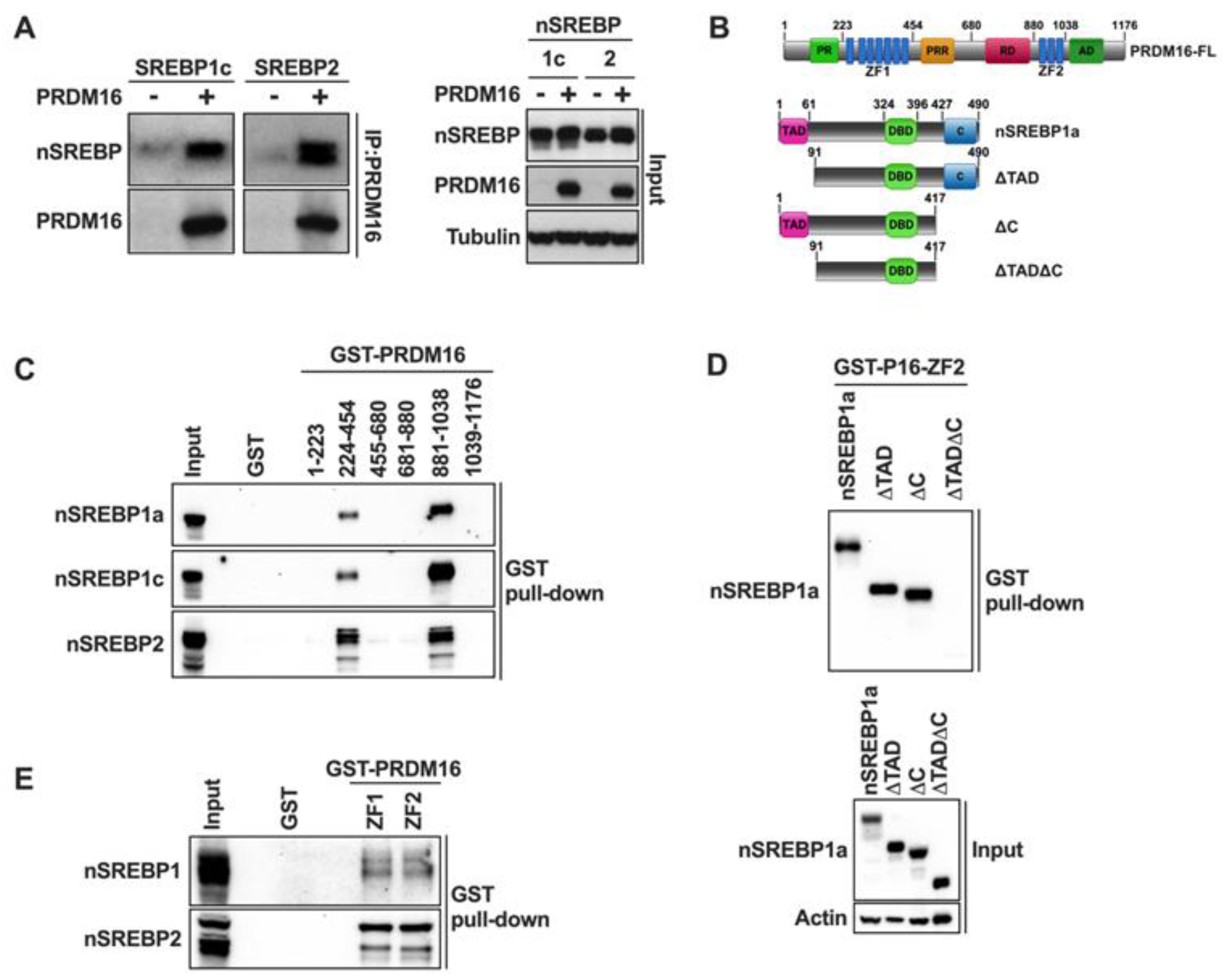Preprints 174635 g004