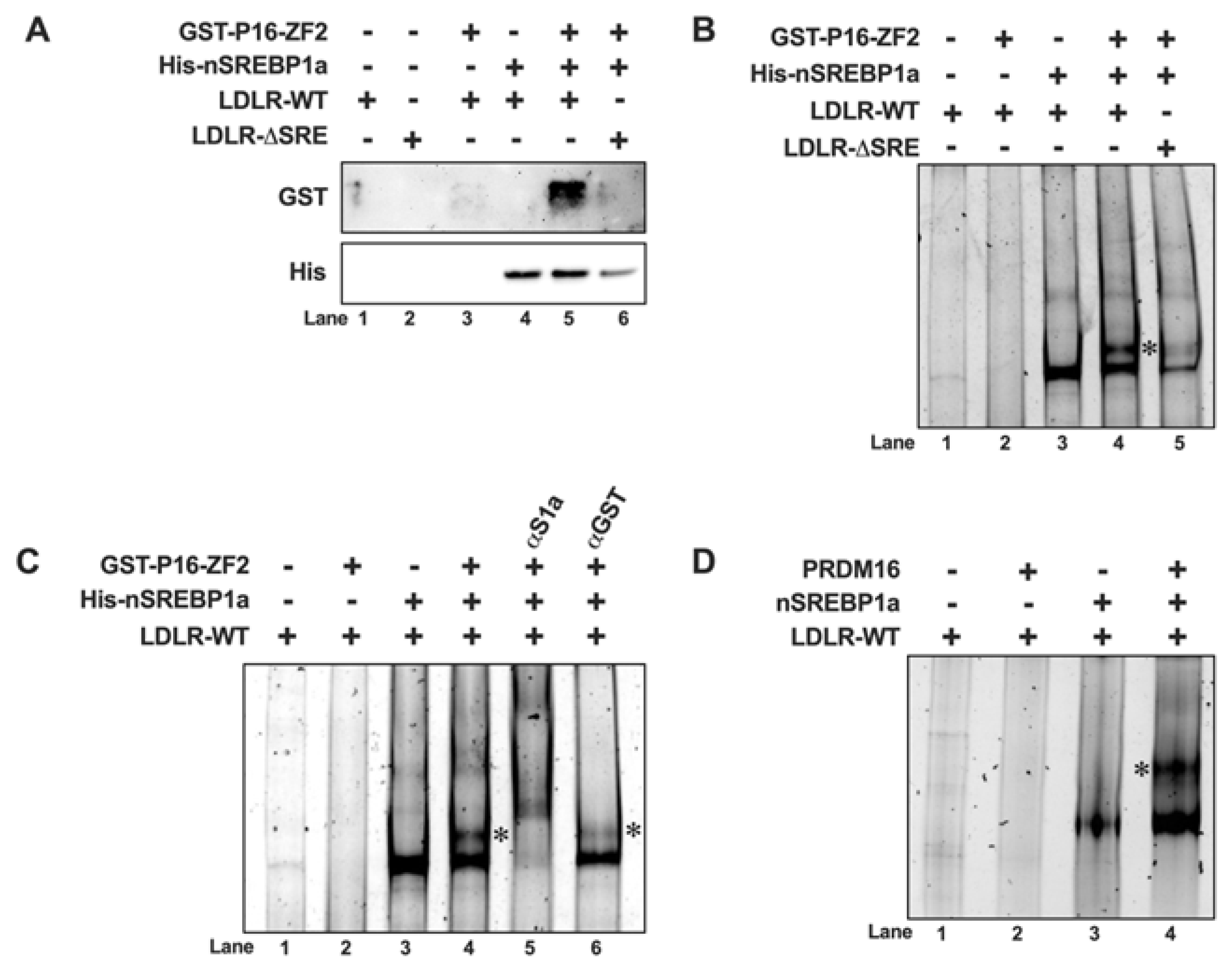 Preprints 174635 g005