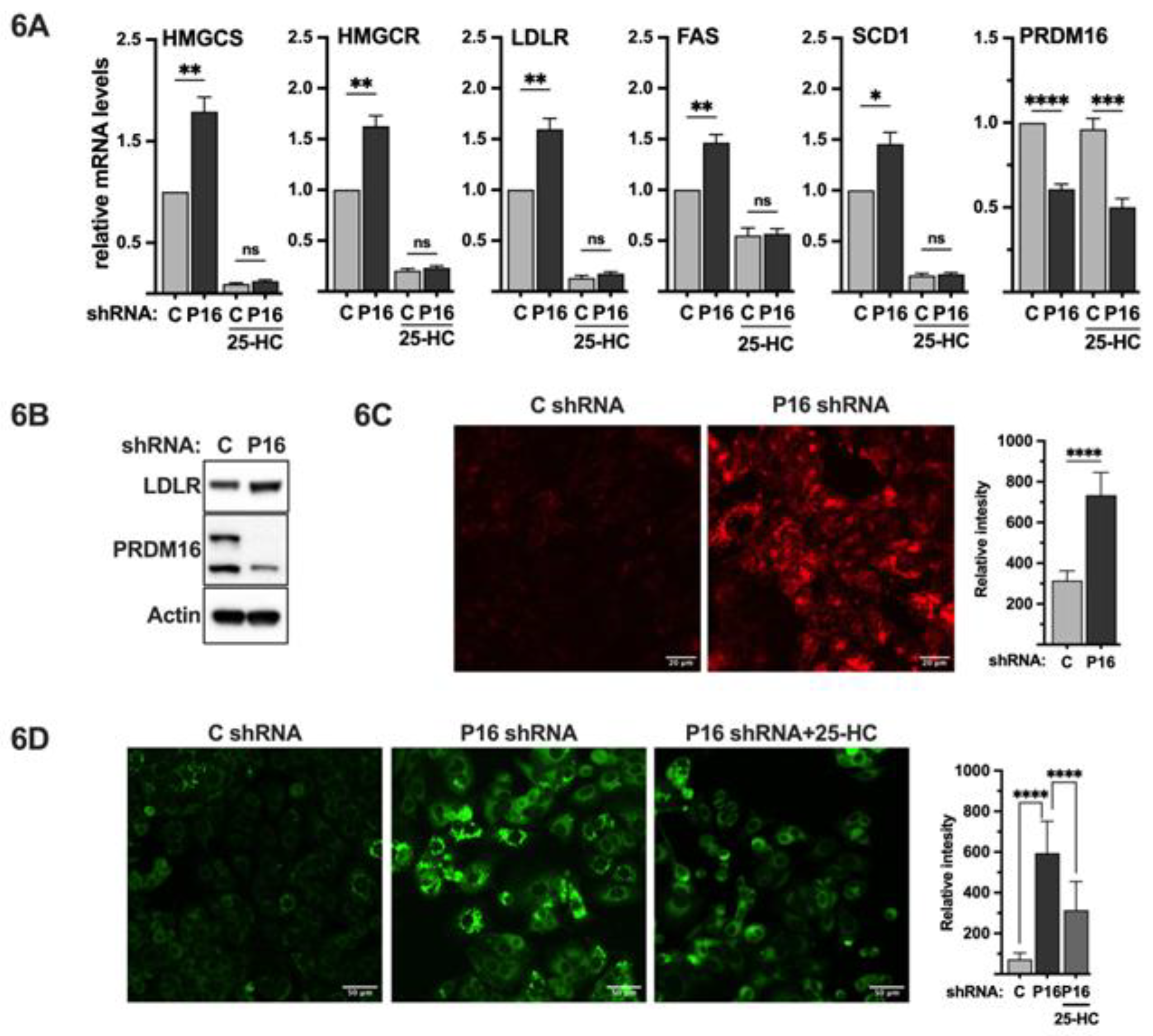 Preprints 174635 g006