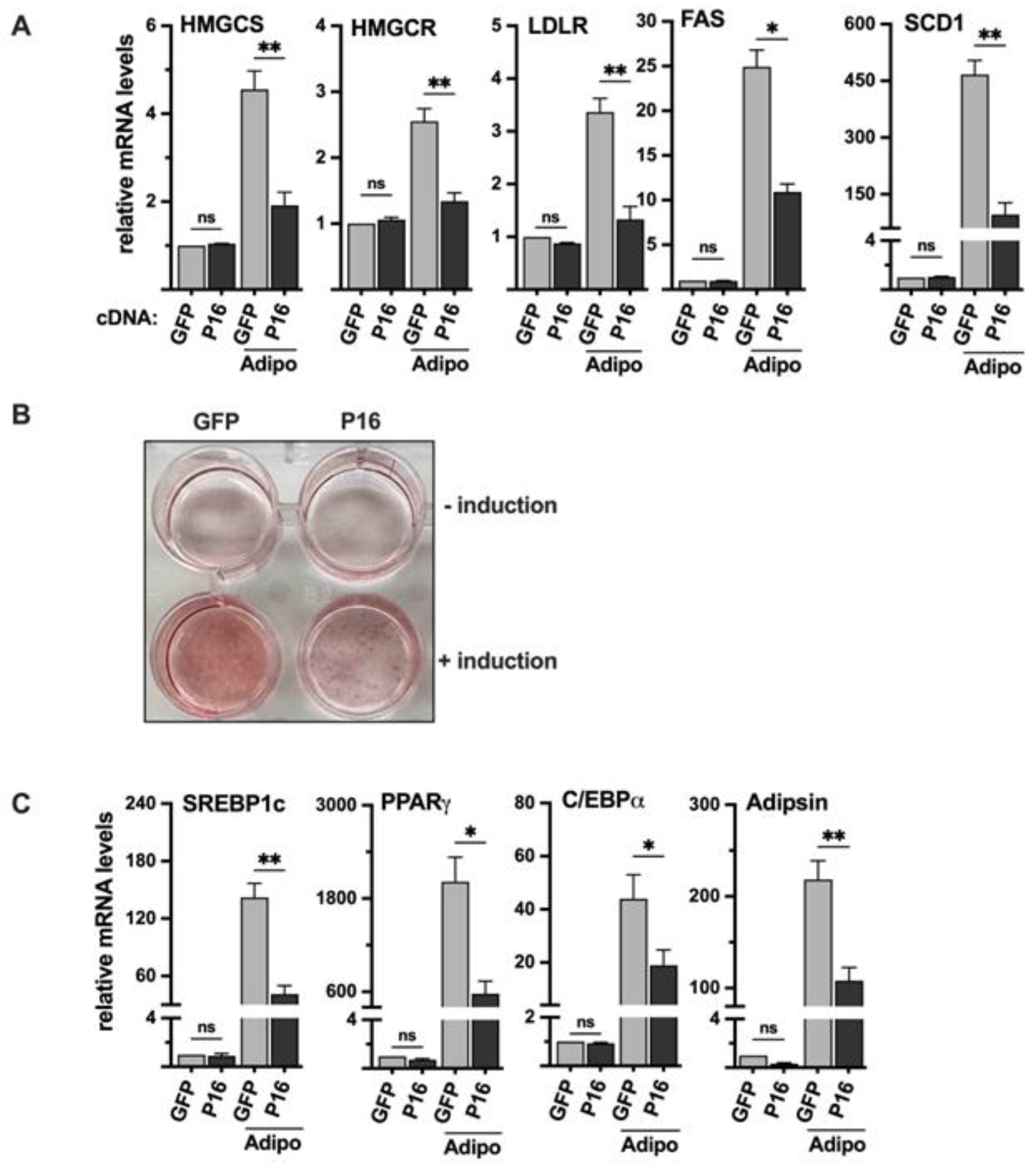 Preprints 174635 g007