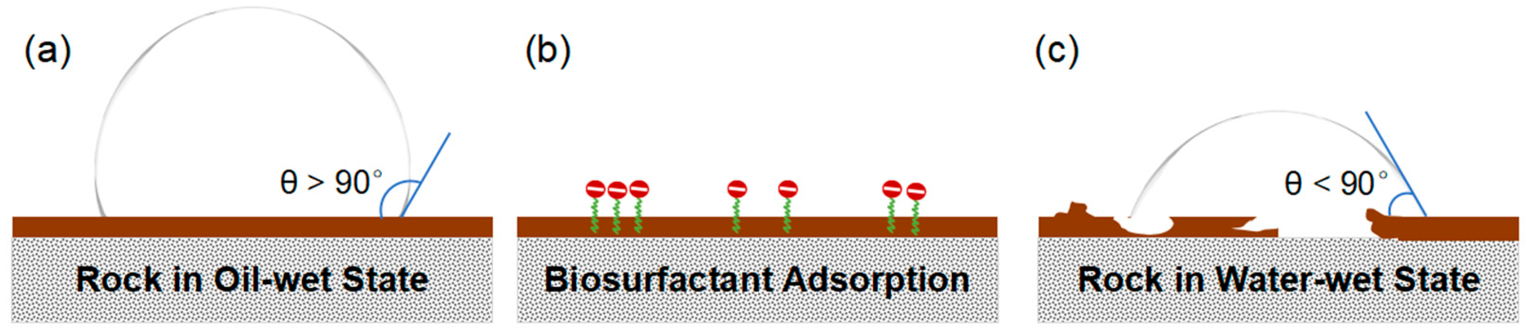 Preprints 197859 g004