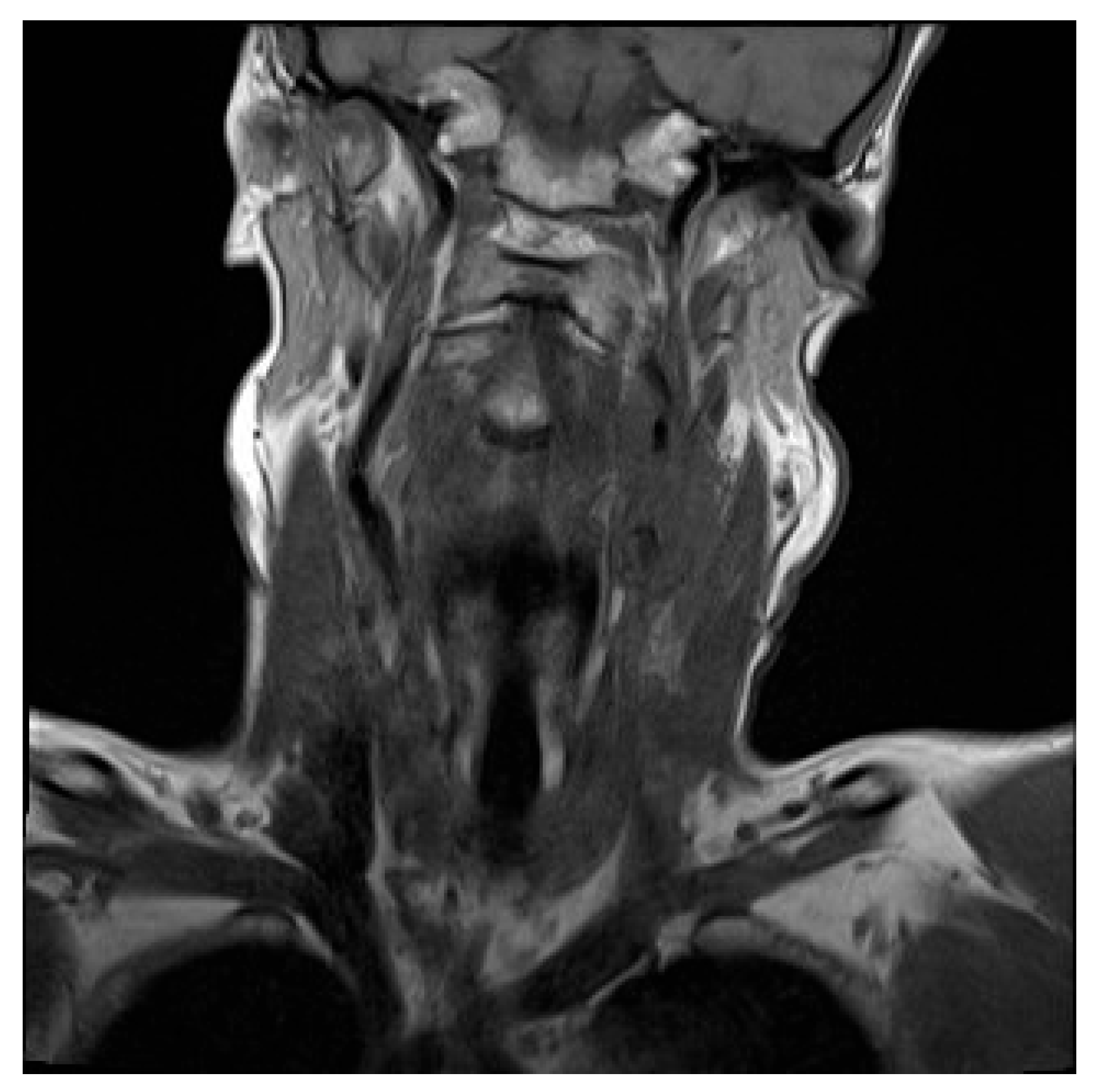 Preprints 168623 g001