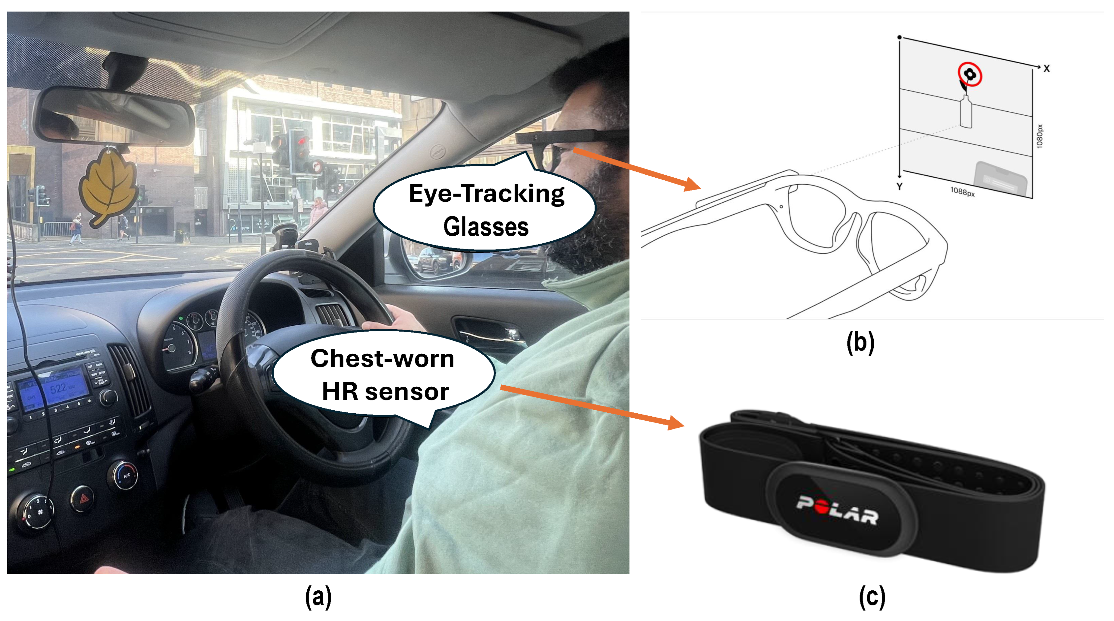 Preprints 179978 g002