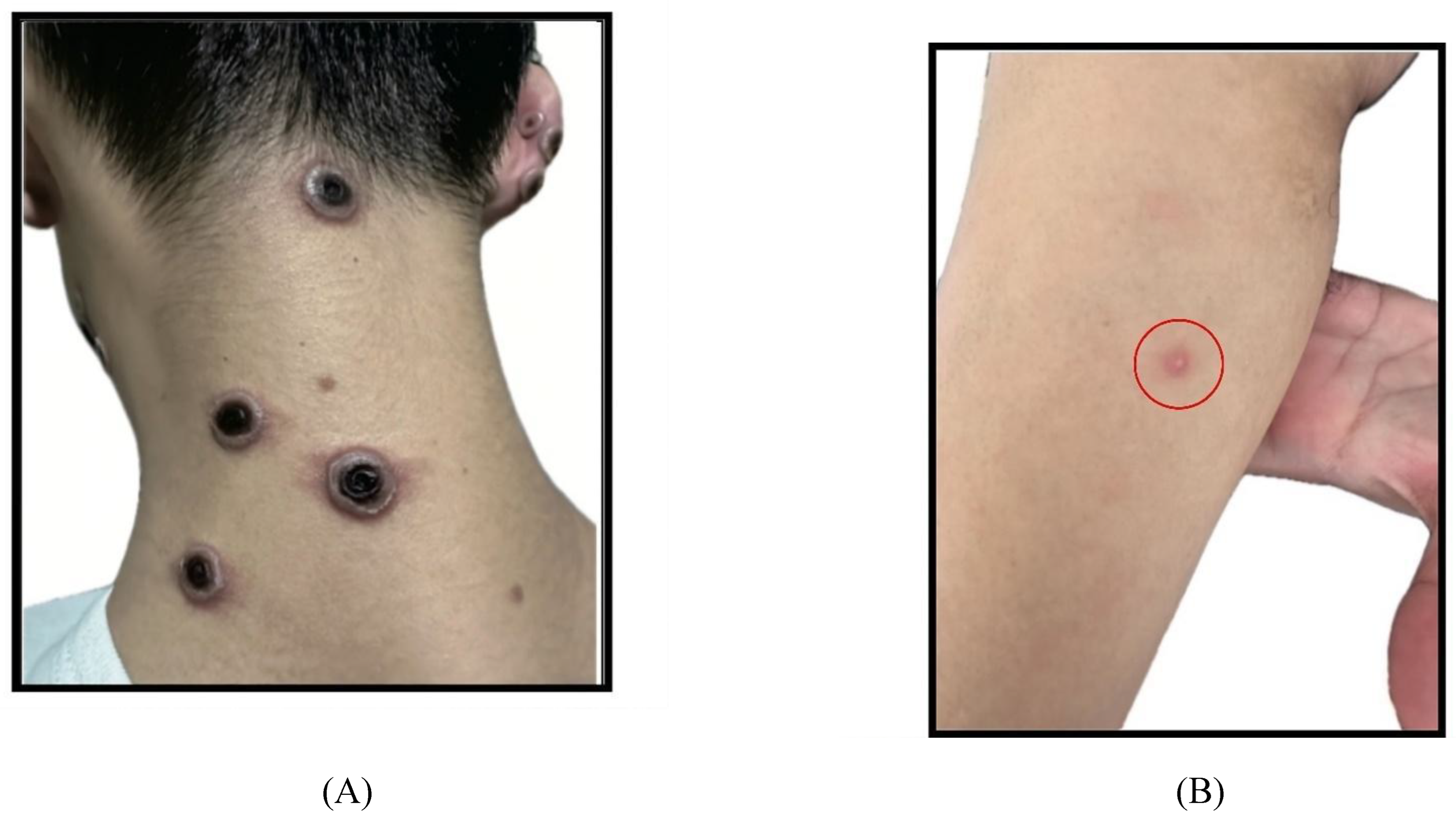 Preprints 140251 g003