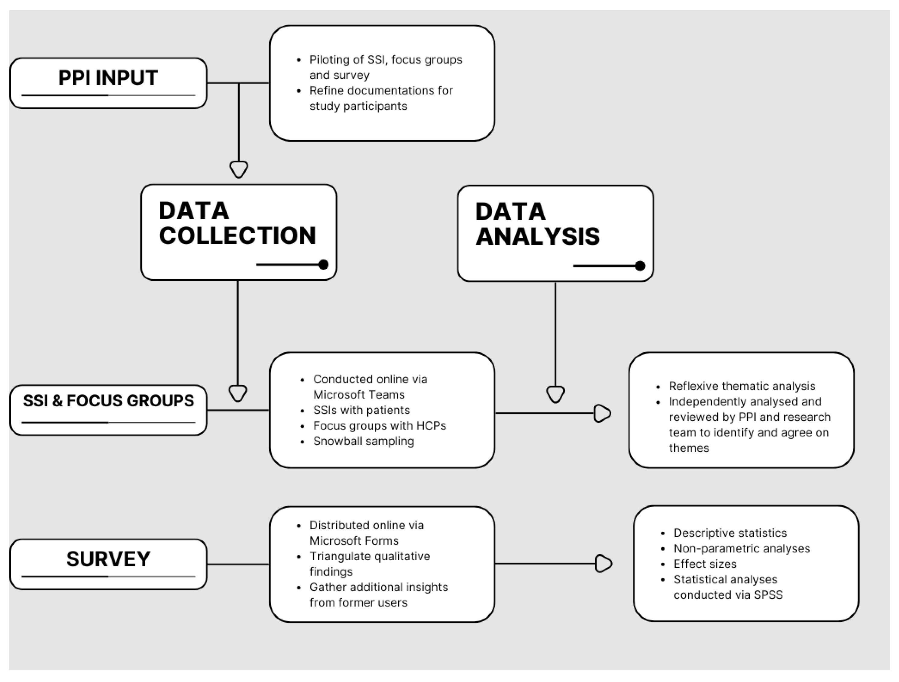 Preprints 192554 g001