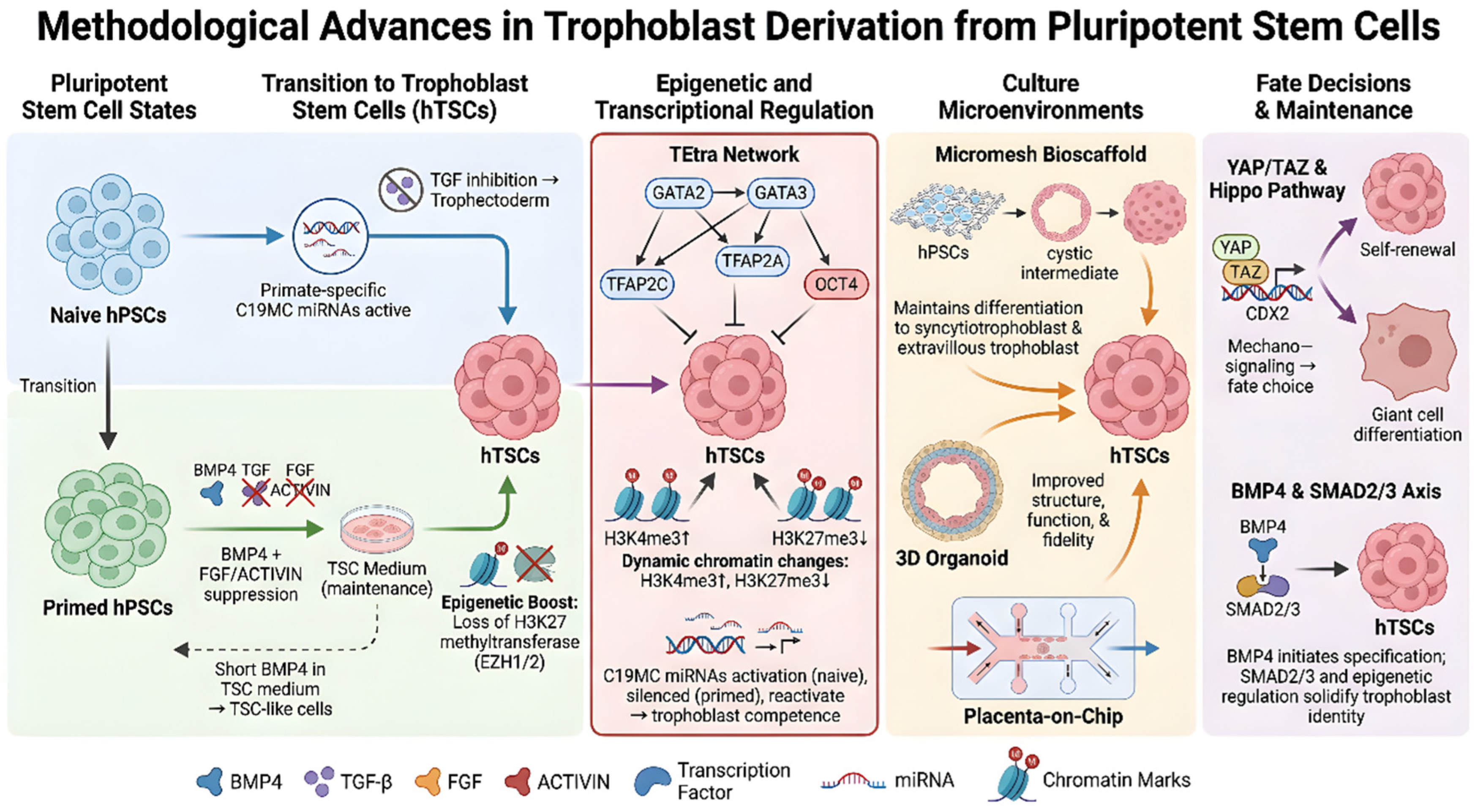 Preprints 214626 g001