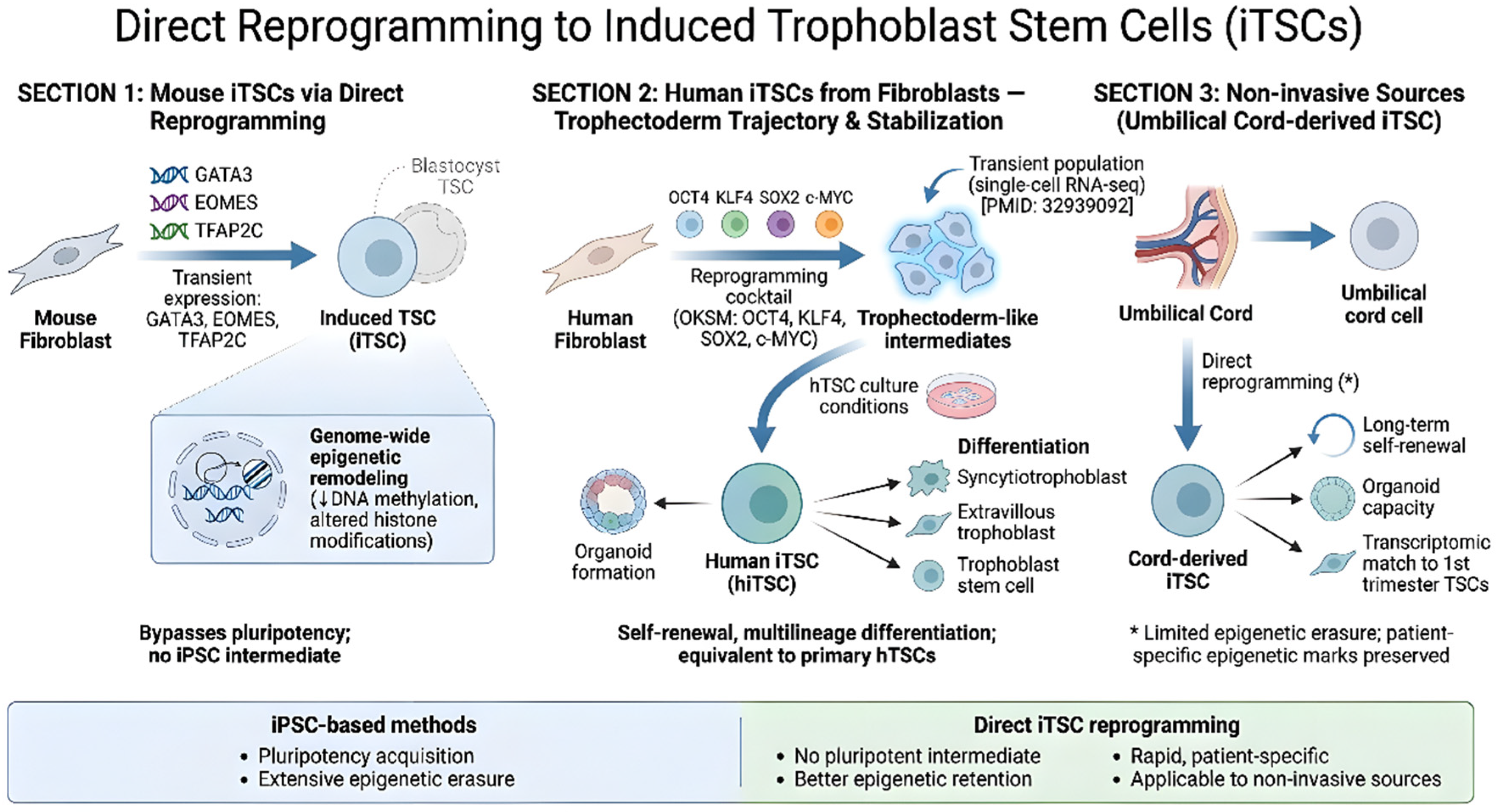 Preprints 214626 g002