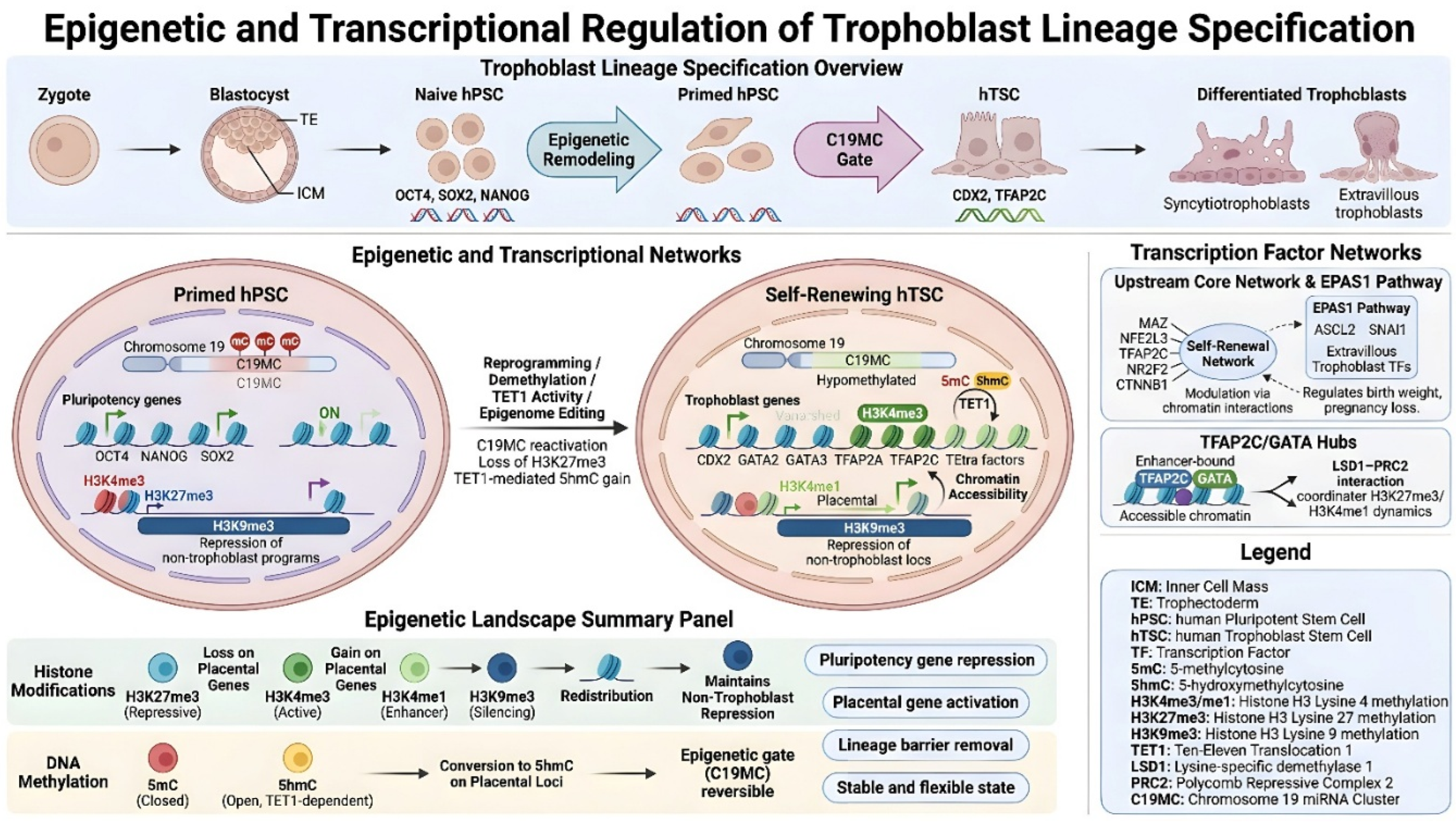 Preprints 214626 g003