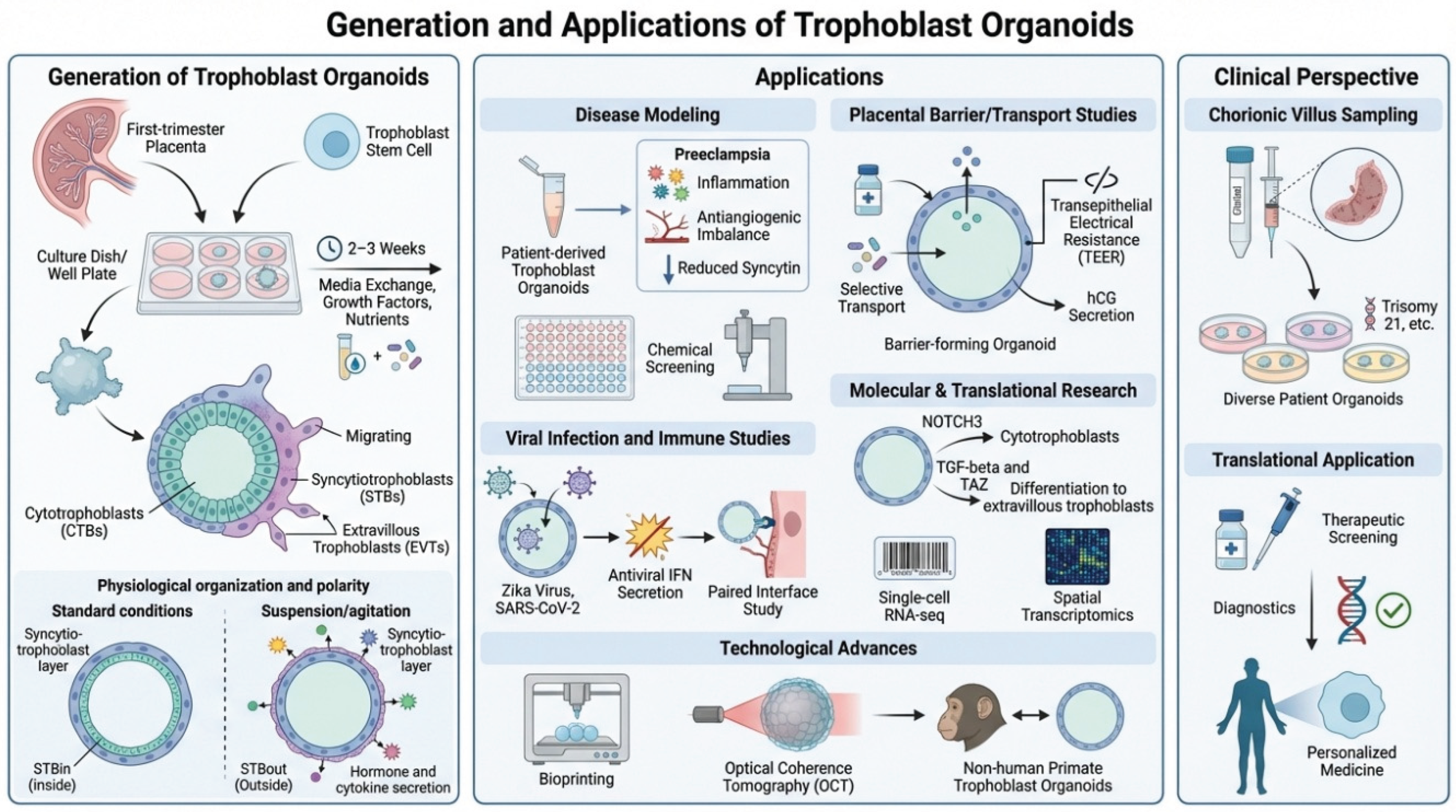 Preprints 214626 g004