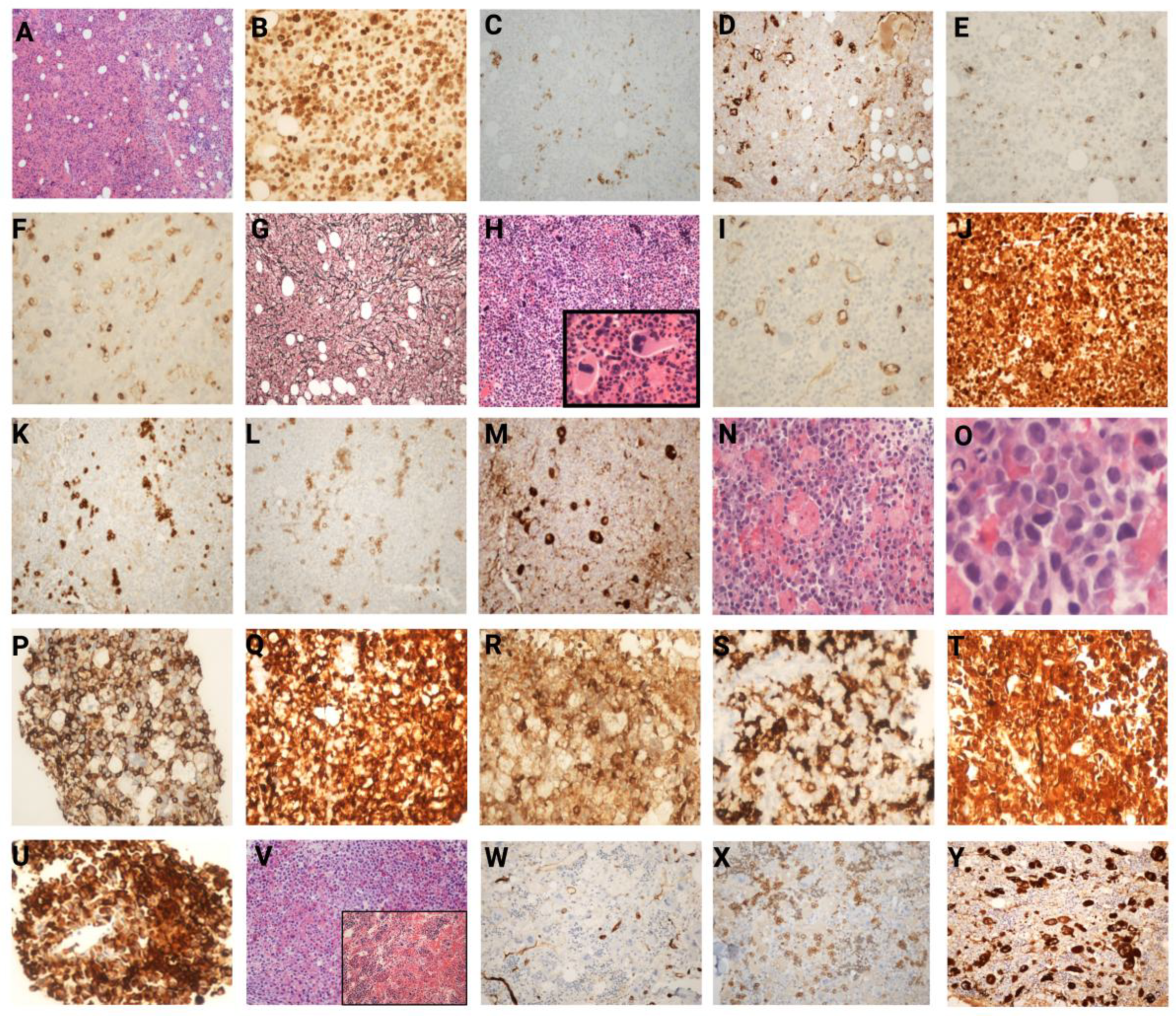 Preprints 165722 g001