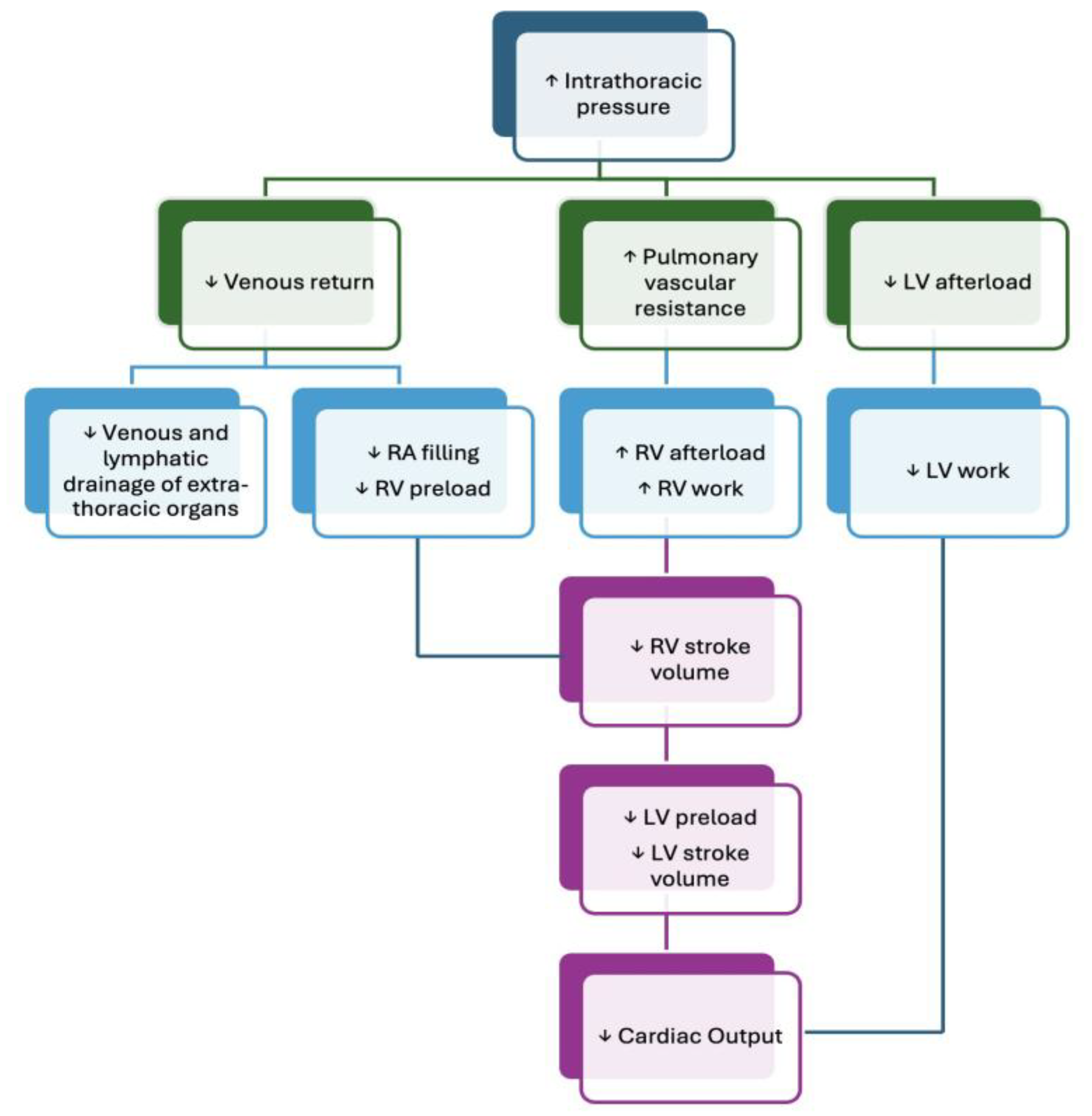 Preprints 180023 g002