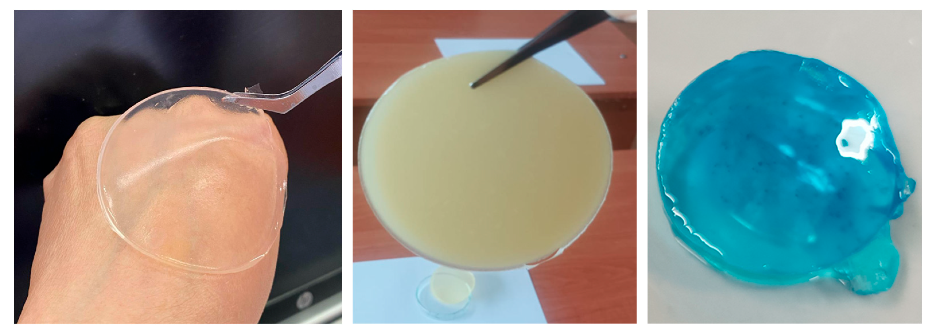 Preprints 175427 g001