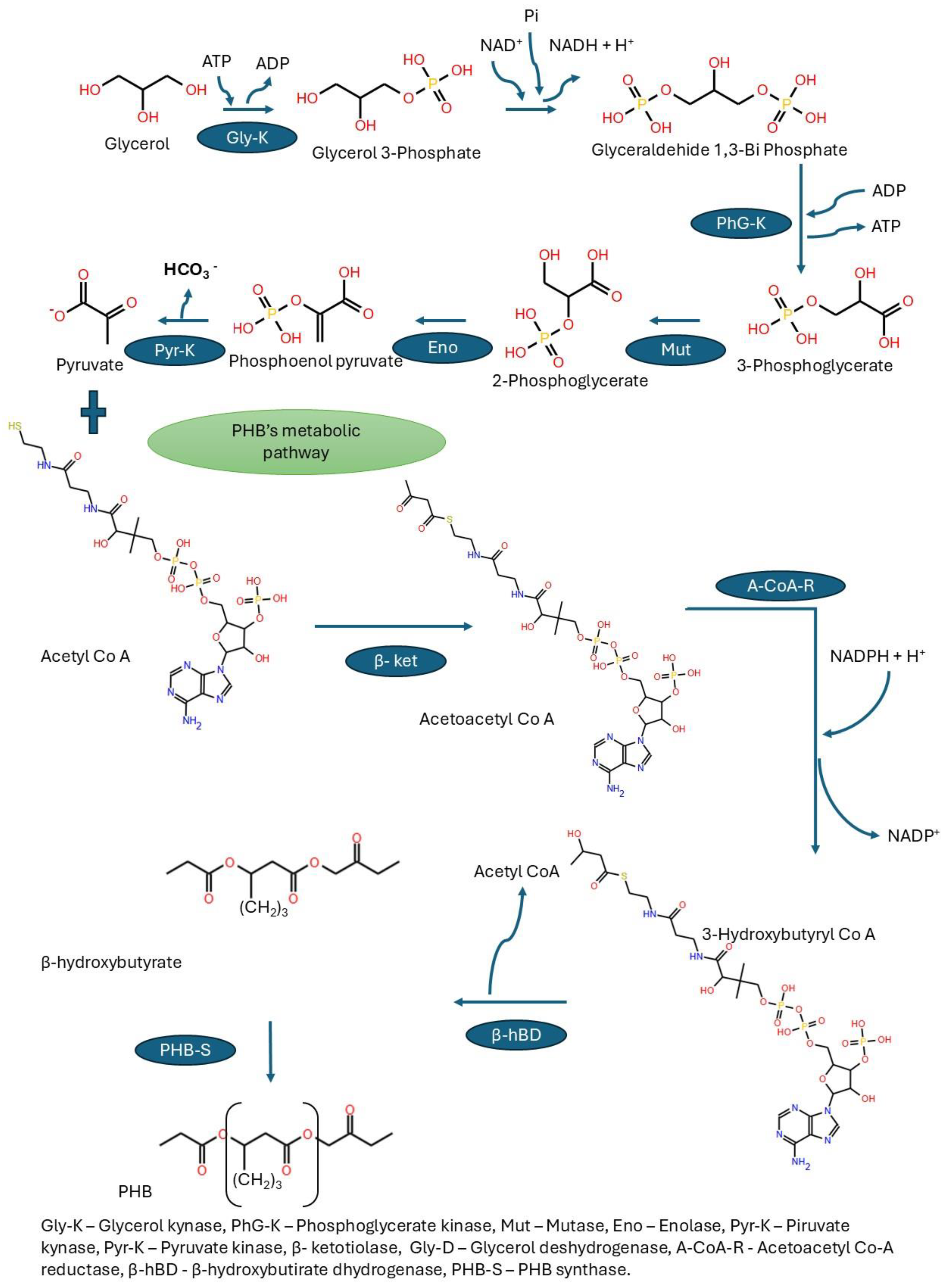 Preprints 196009 g003