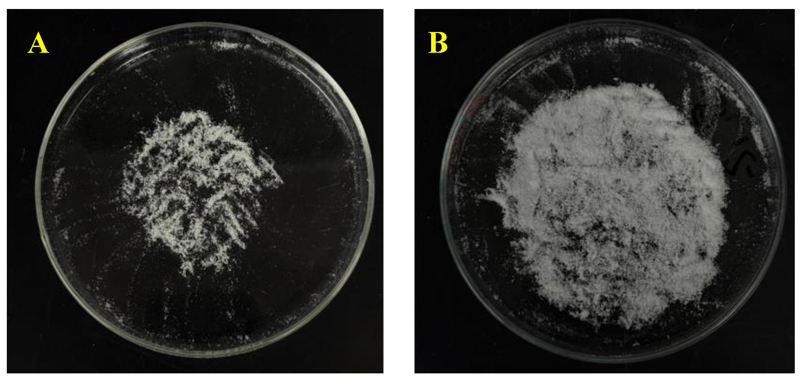 Preprints 196009 g005