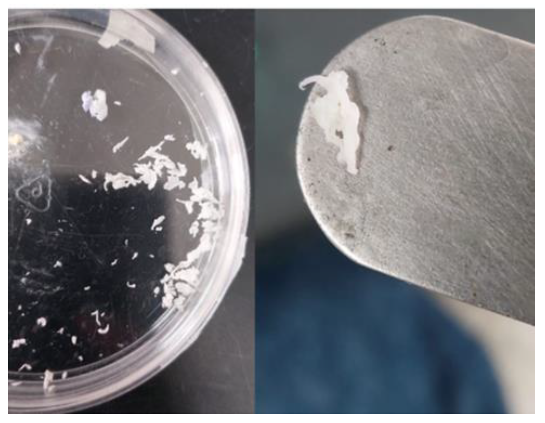 Preprints 196009 g016