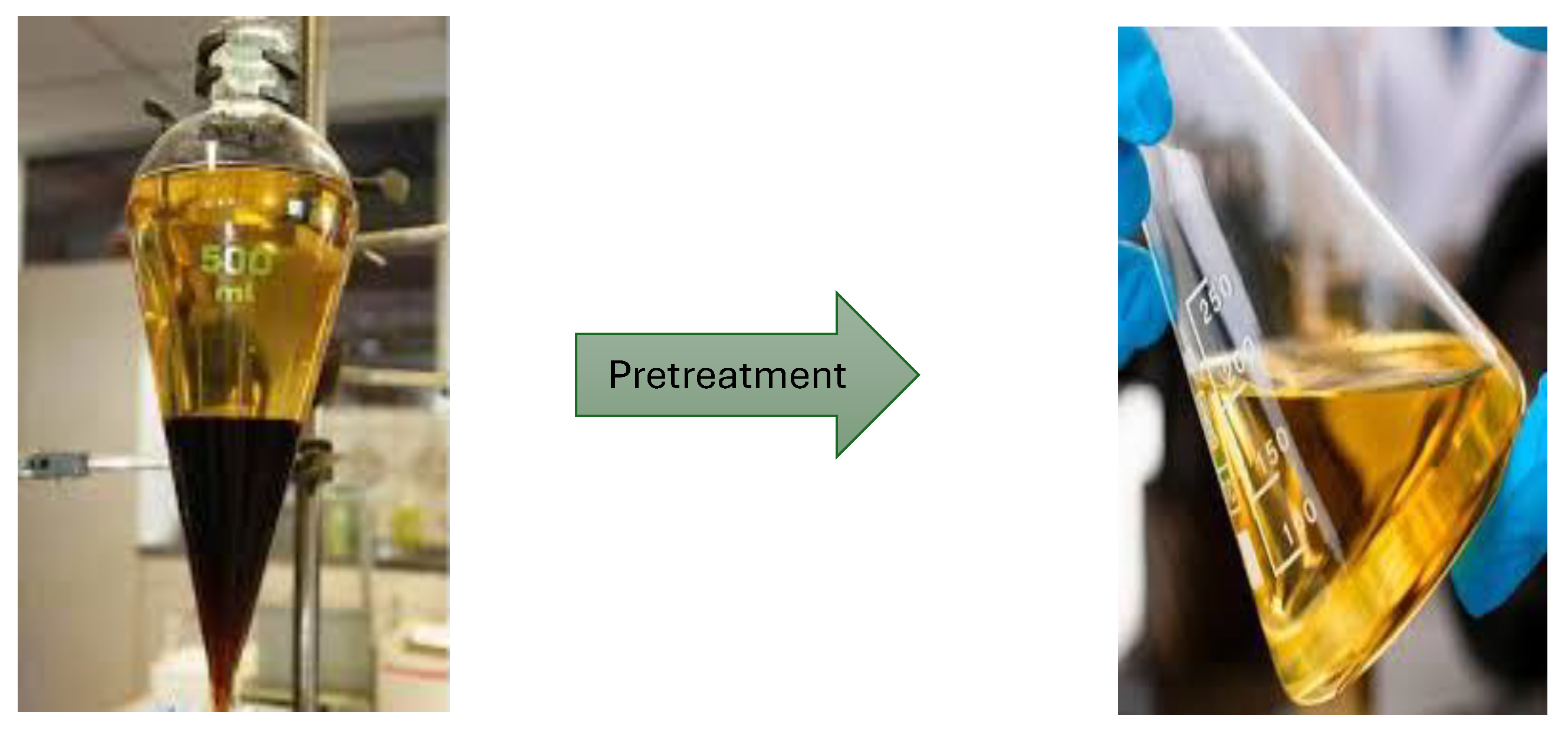 Preprints 196009 g017