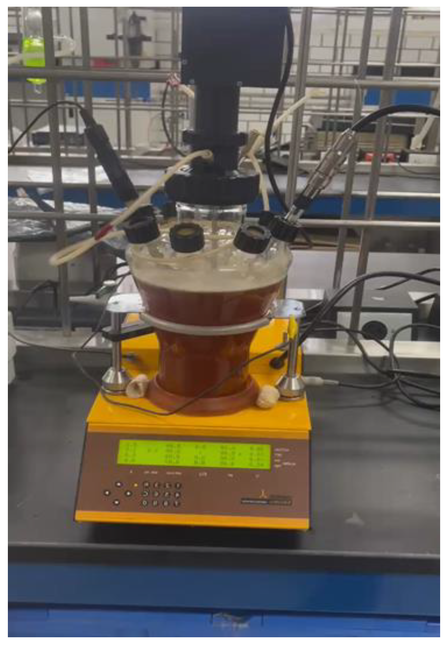 Preprints 196009 g018