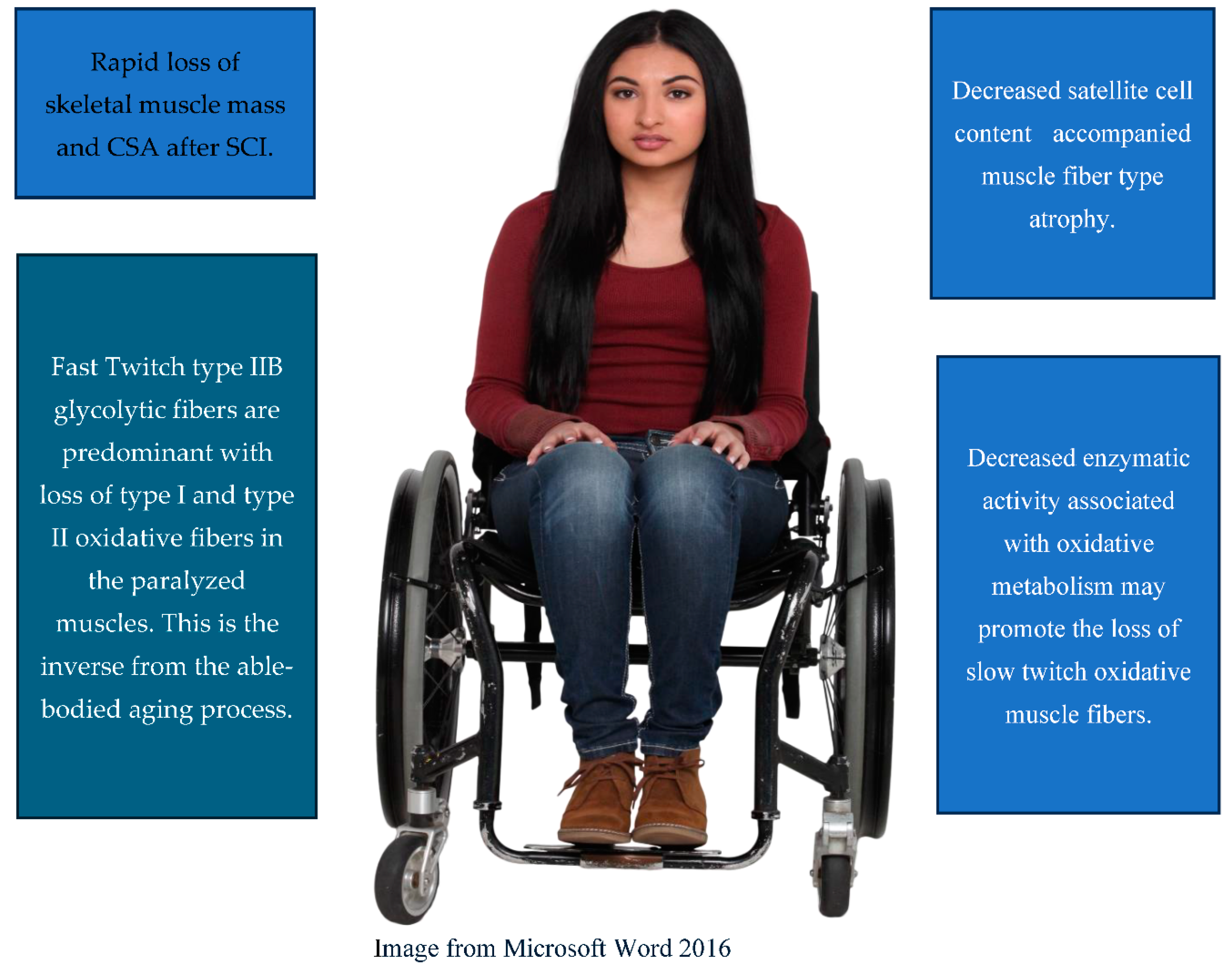 Preprints 122163 g001