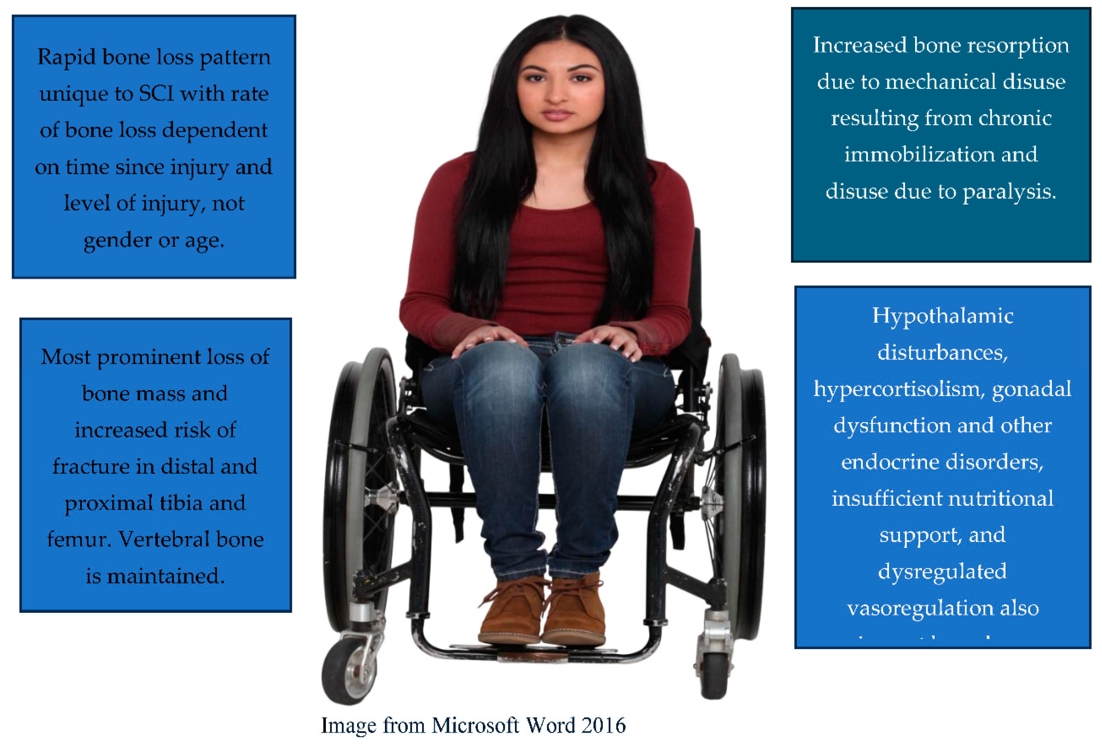 Preprints 122163 g002