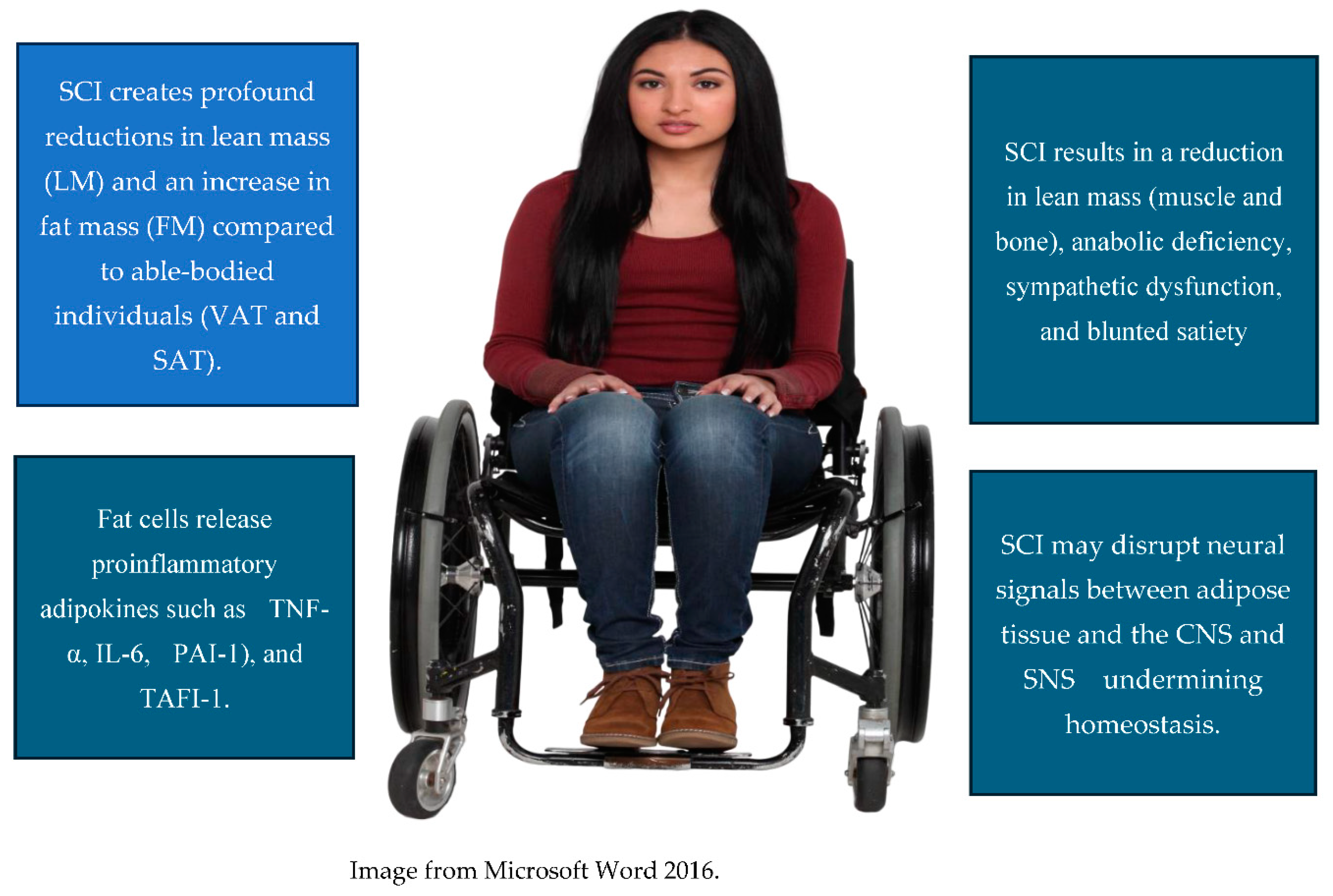 Preprints 122163 g003