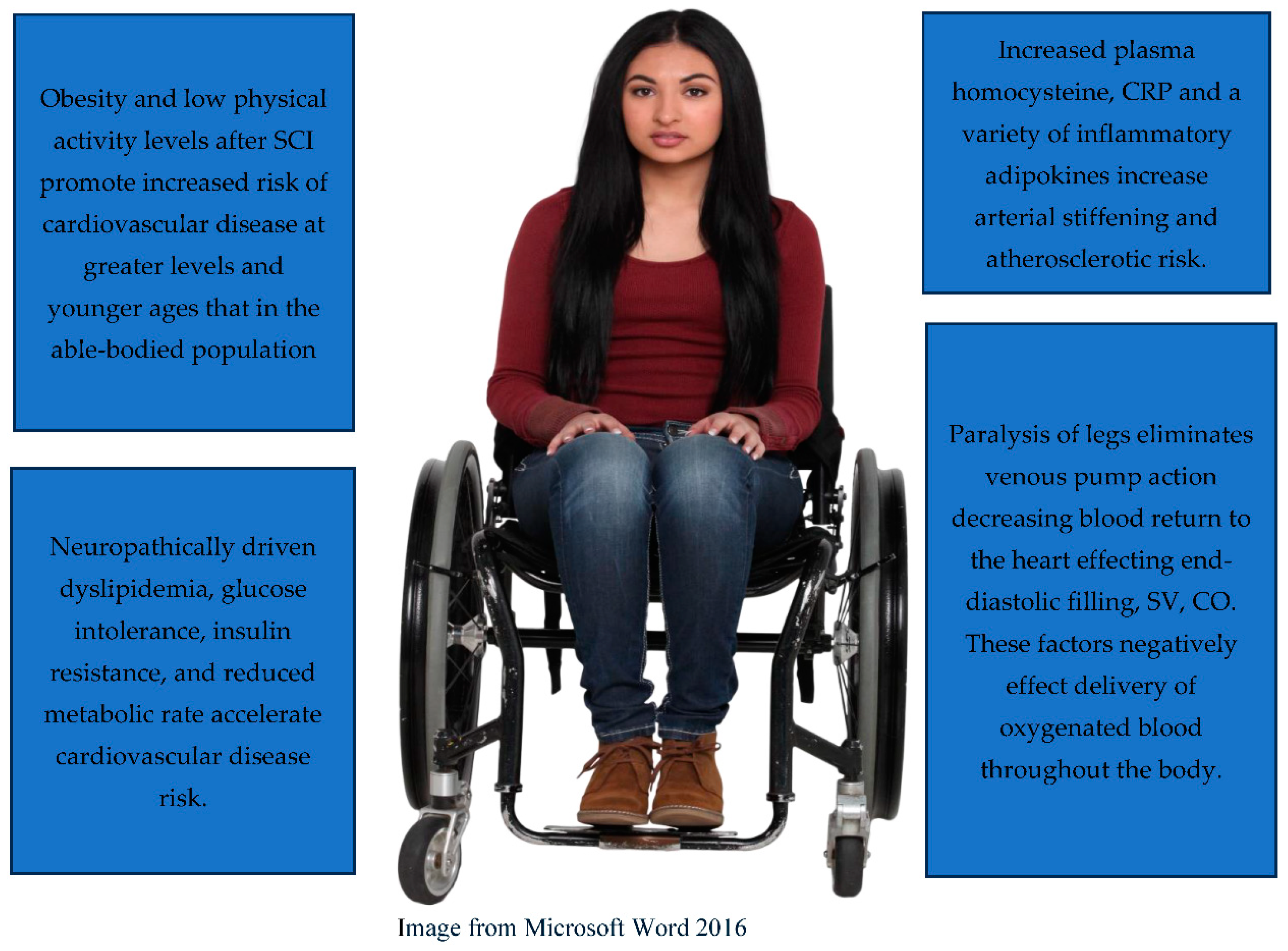 Preprints 122163 g005