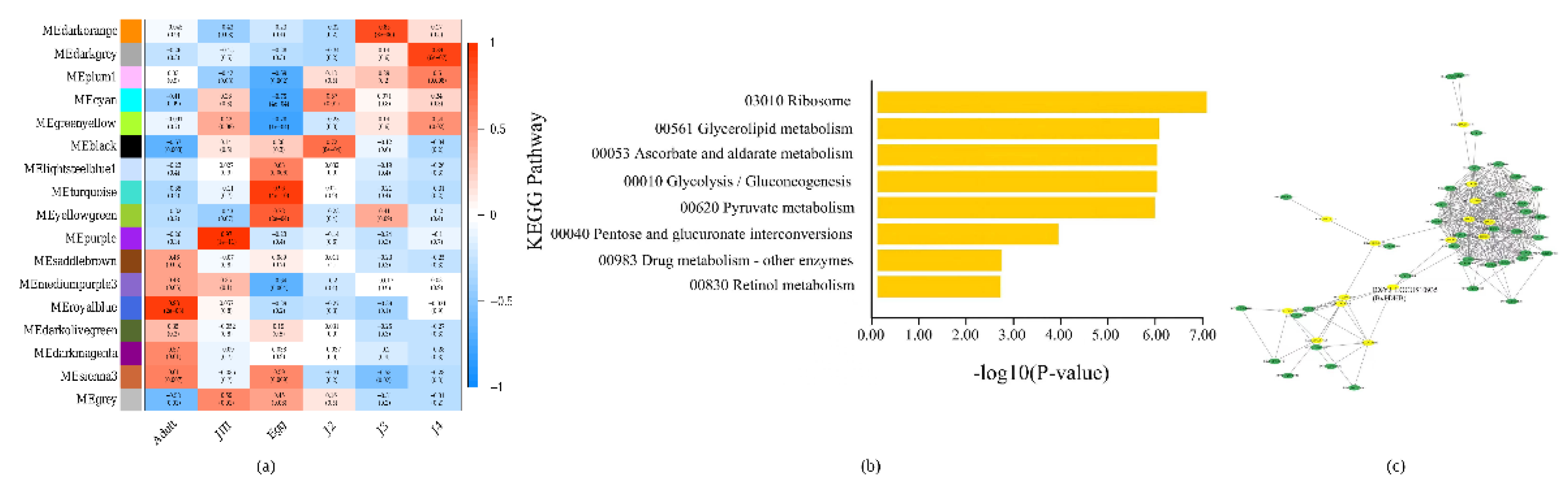 Preprints 230283 g001 Preprints 230283 g001