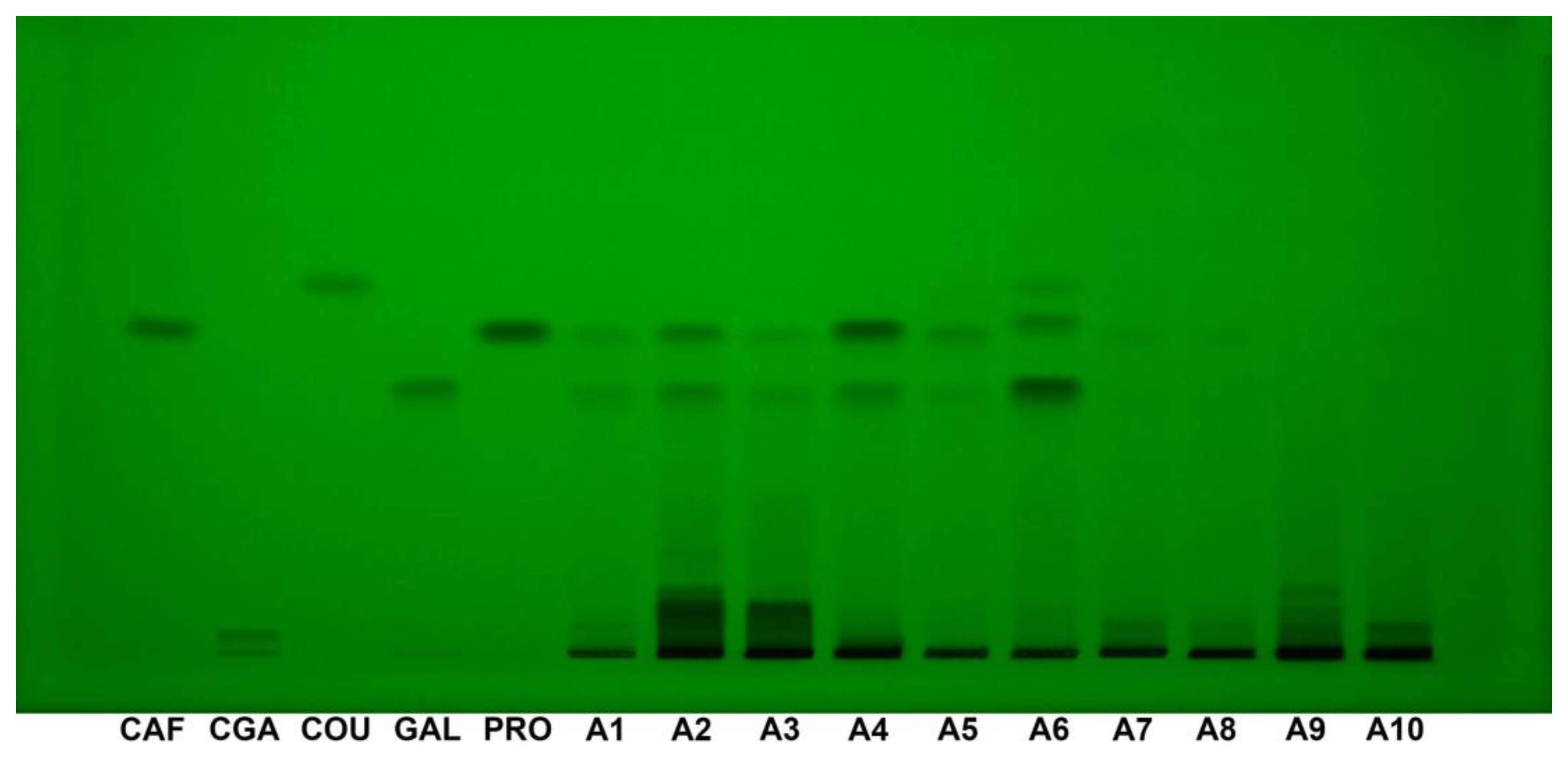 Preprints 144736 g005