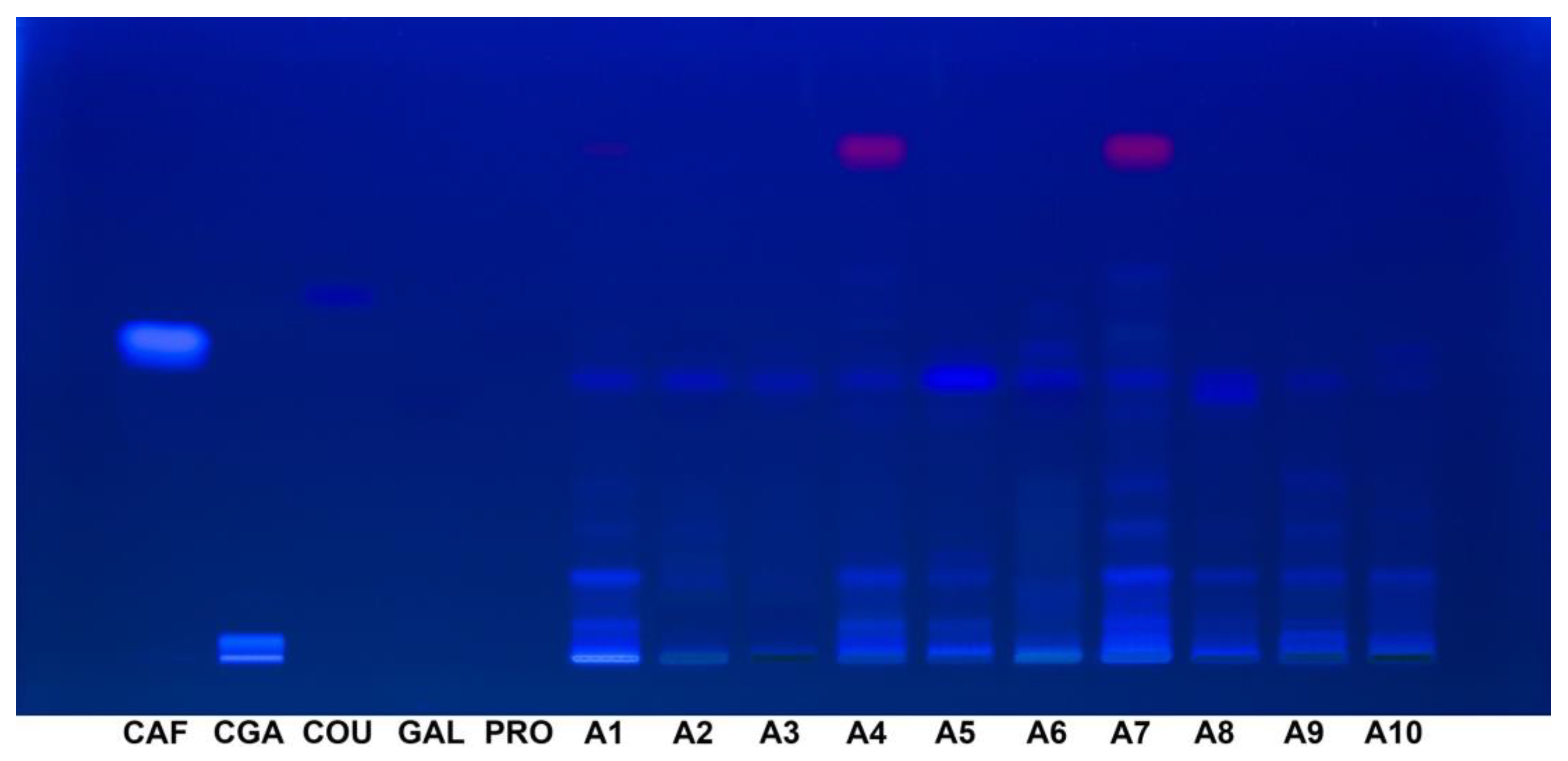 Preprints 144736 g006