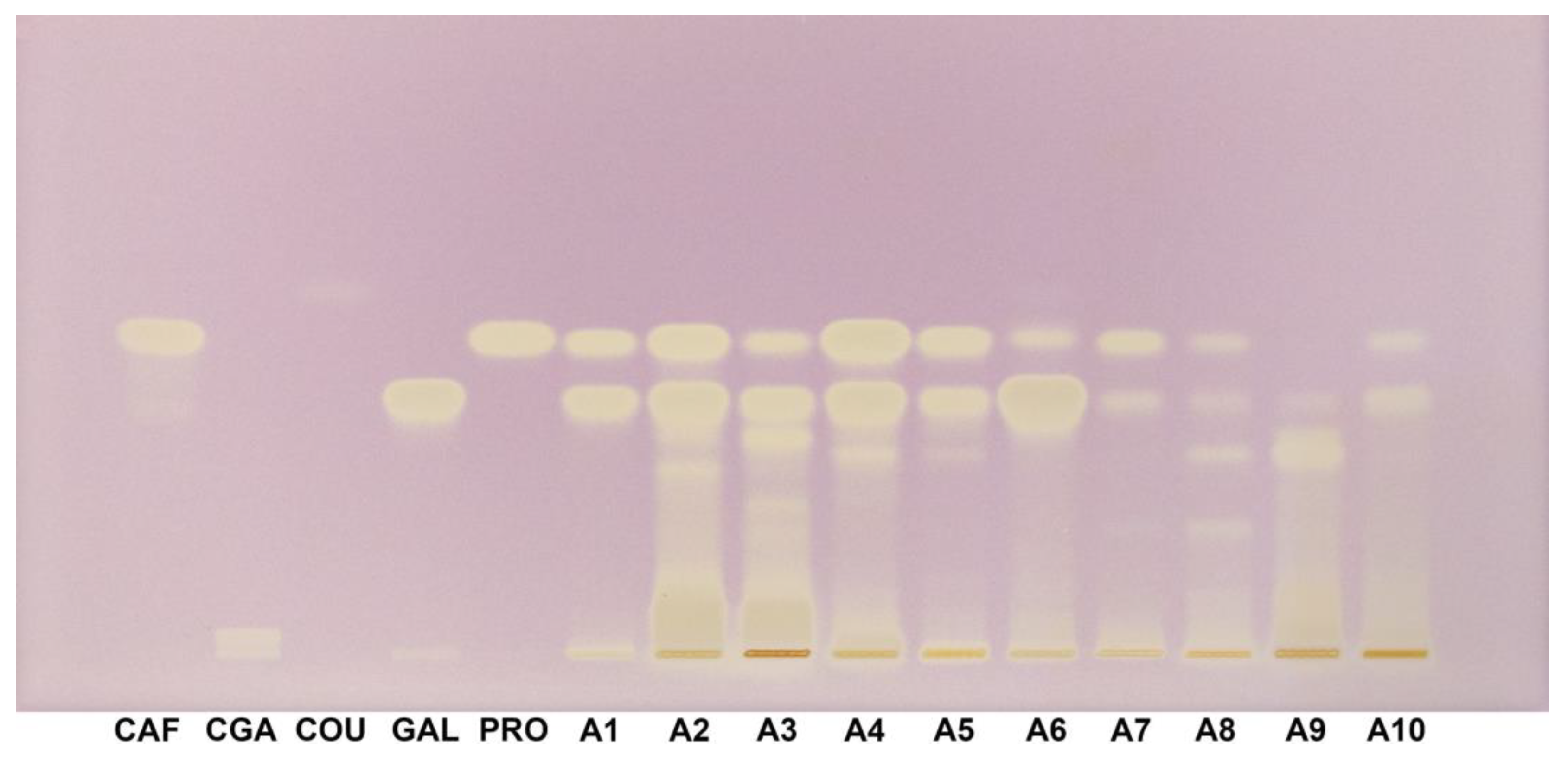 Preprints 144736 g007