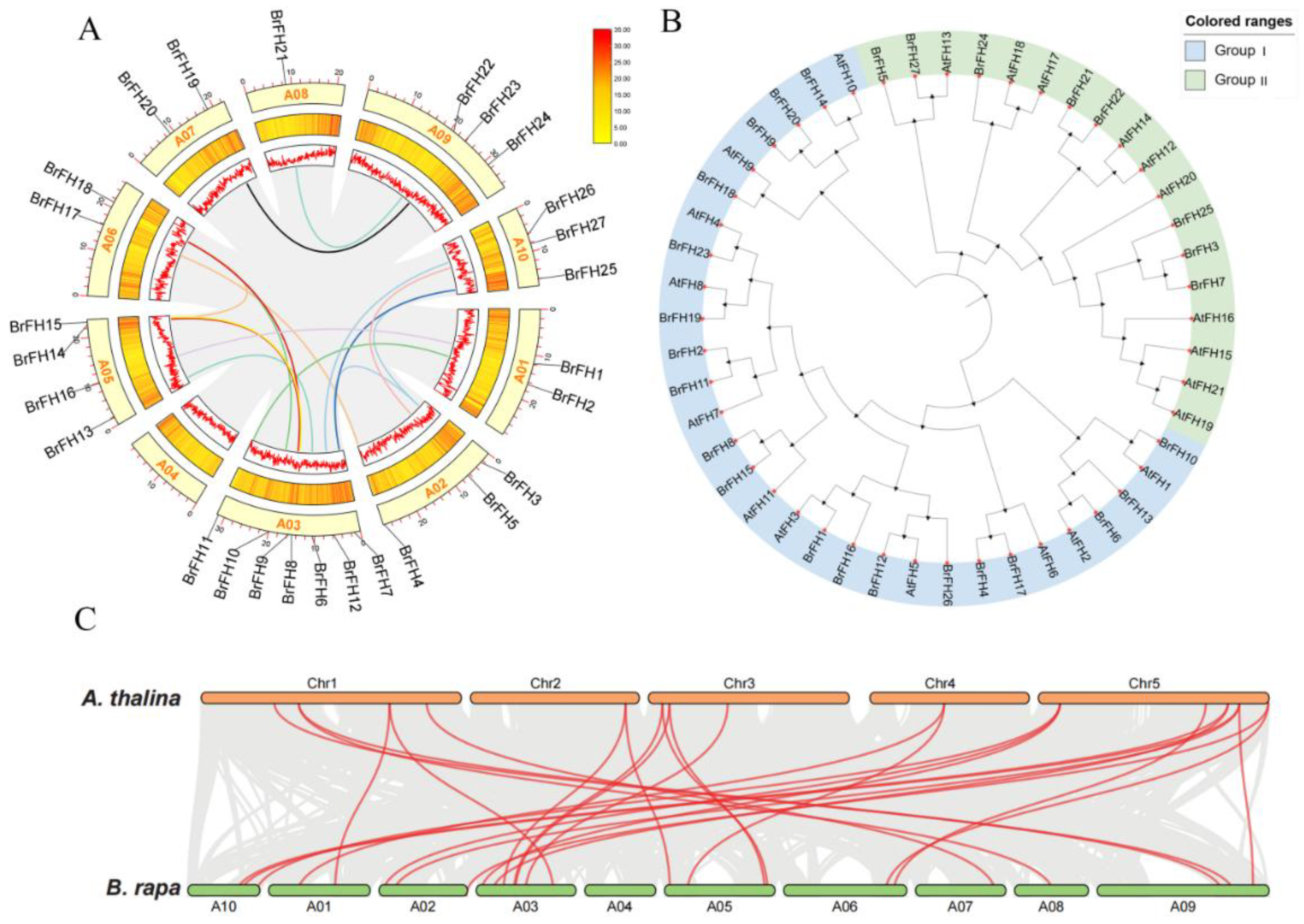 Preprints 194474 g001