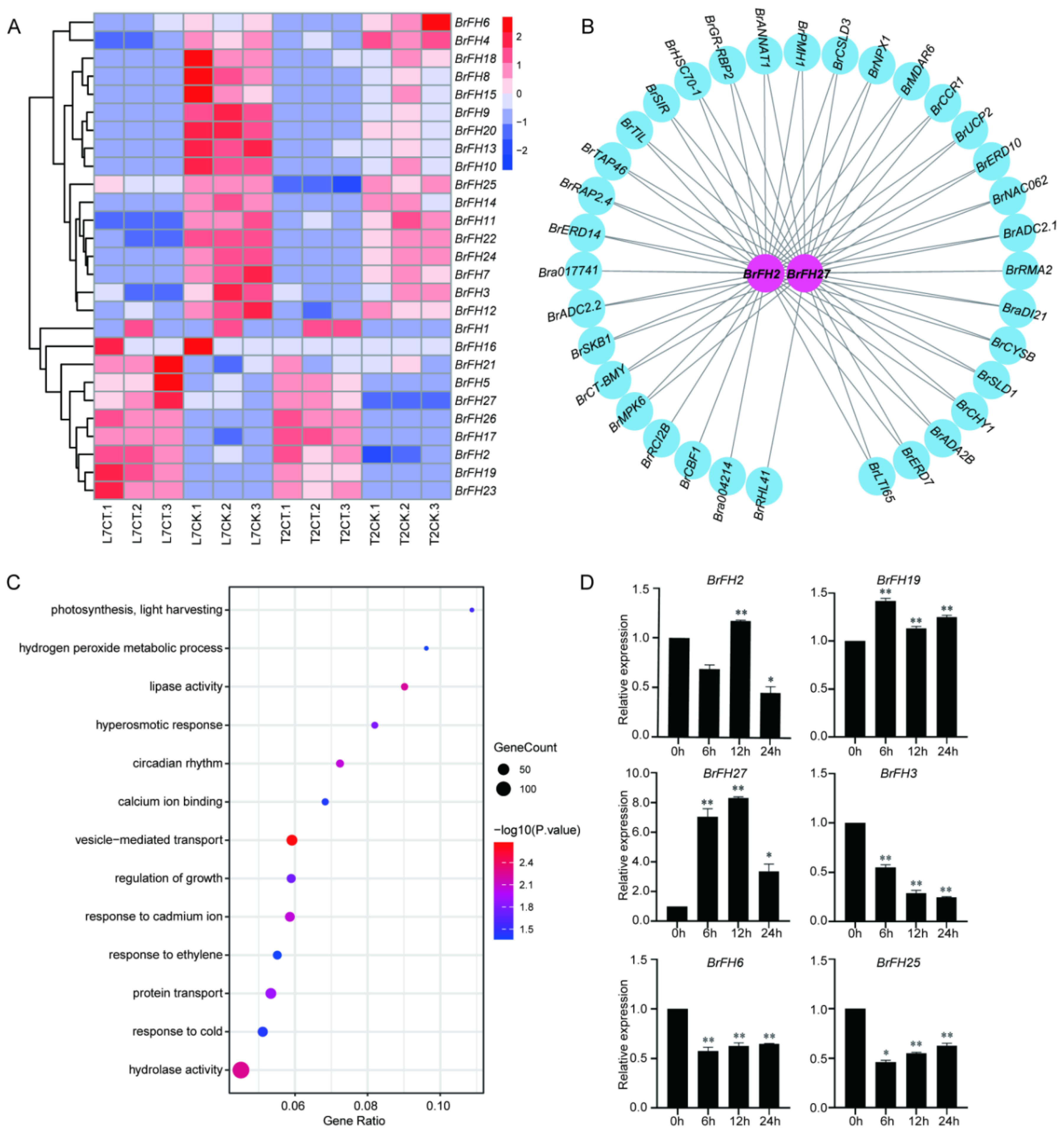 Preprints 194474 g005