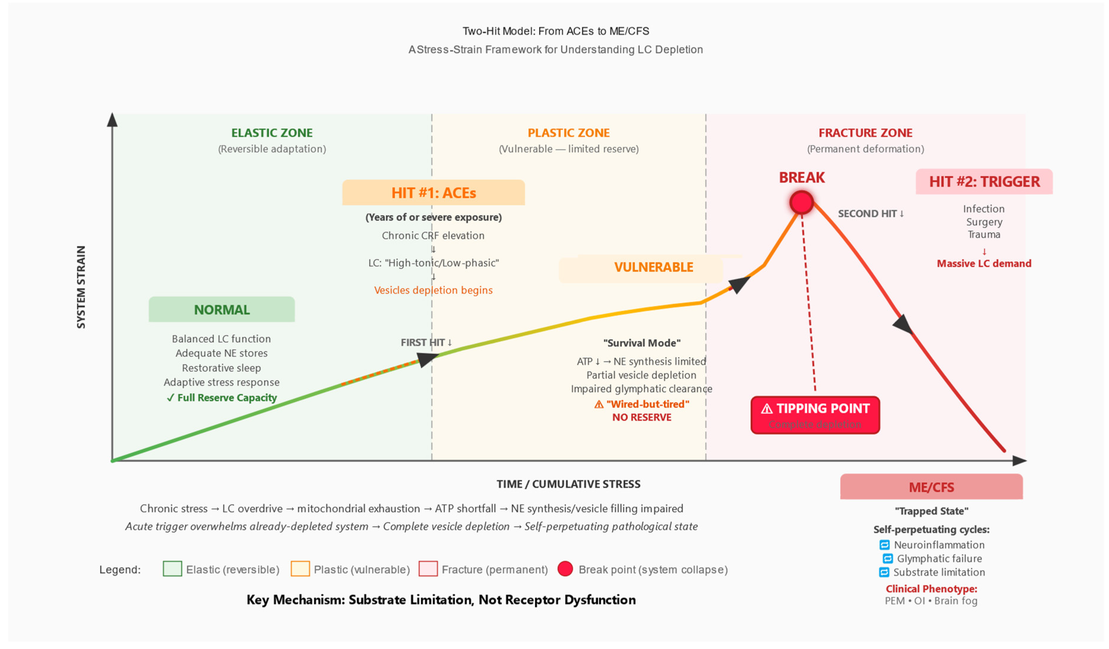 Preprints 191341 g002