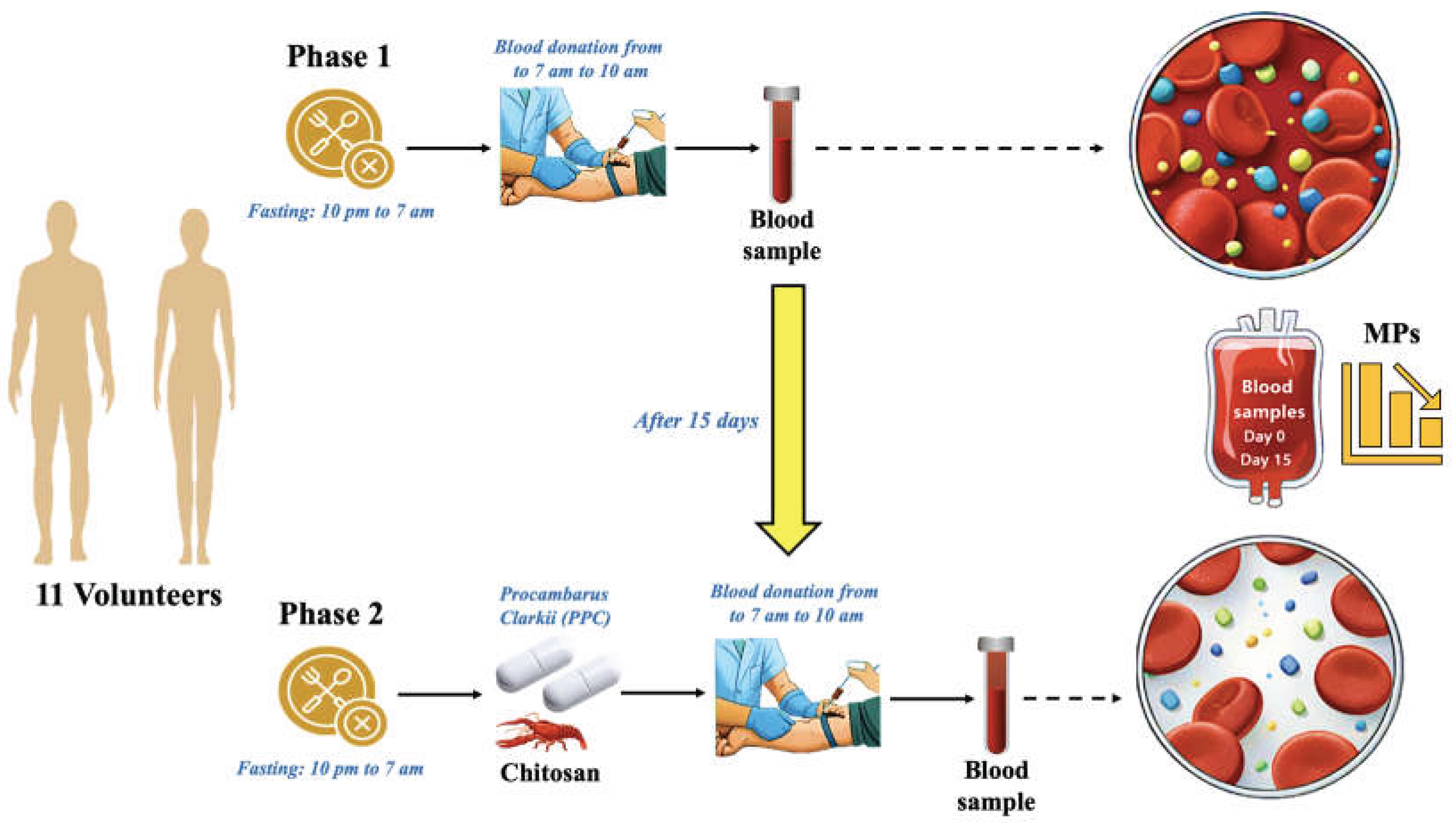 Preprints 209592 g001