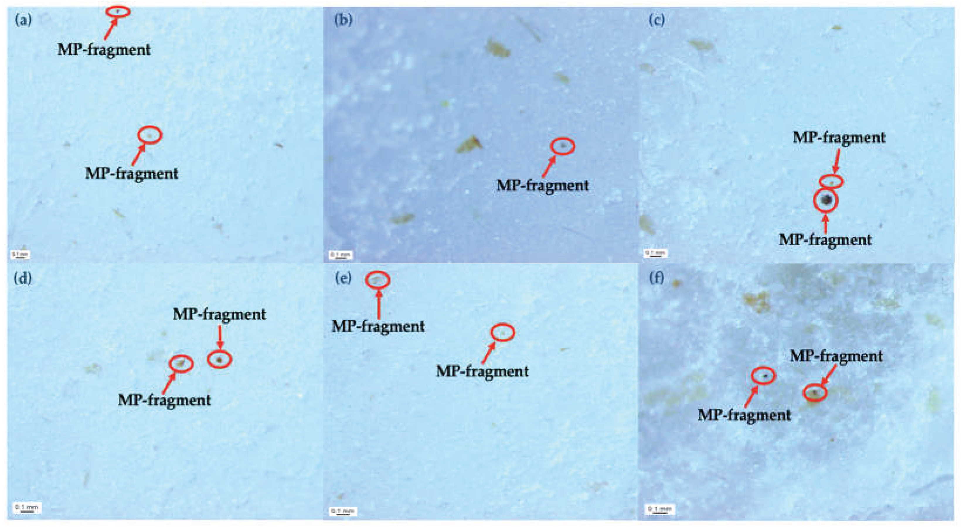 Preprints 209592 g002