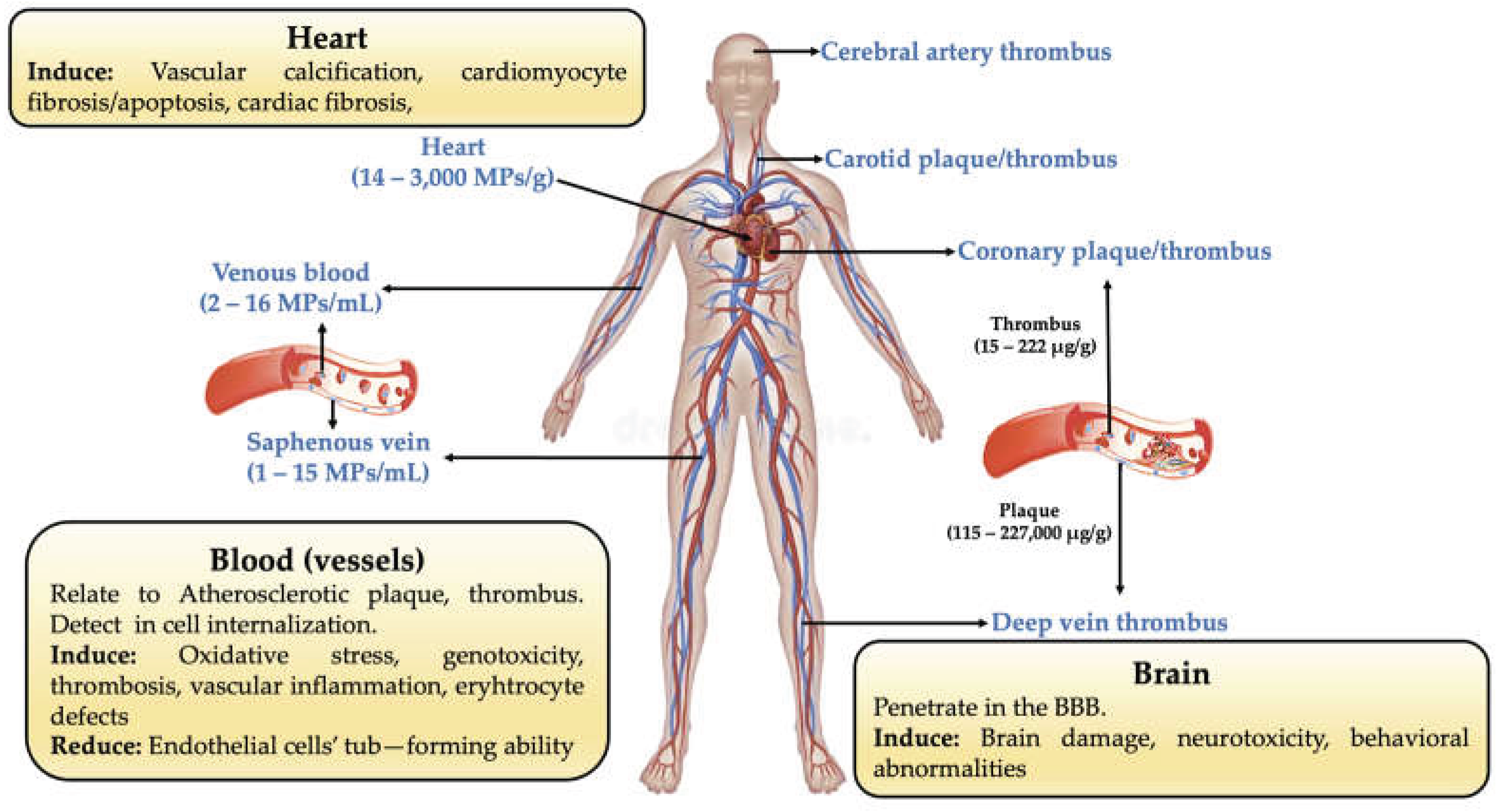 Preprints 209592 g009
