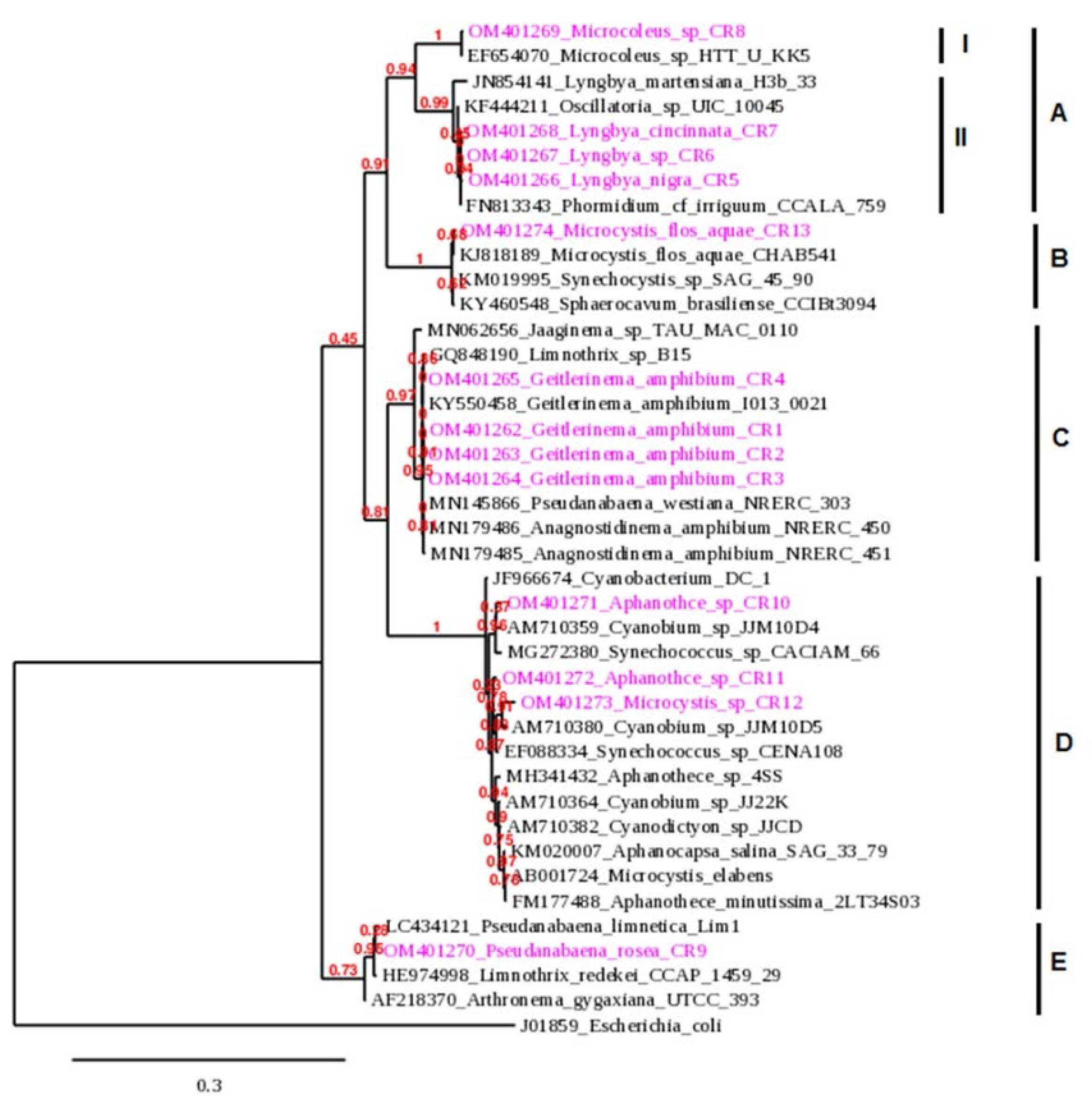 Preprints 86876 g003