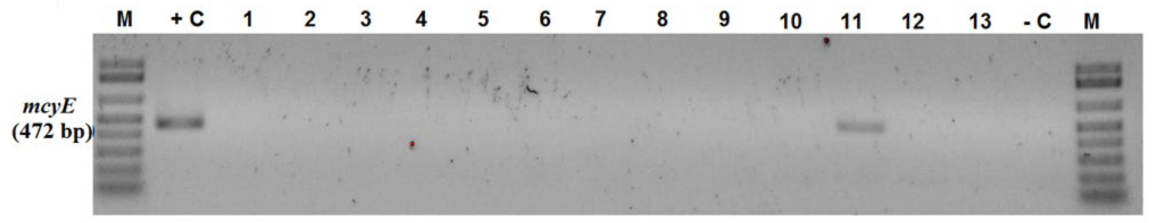 Preprints 86876 g004