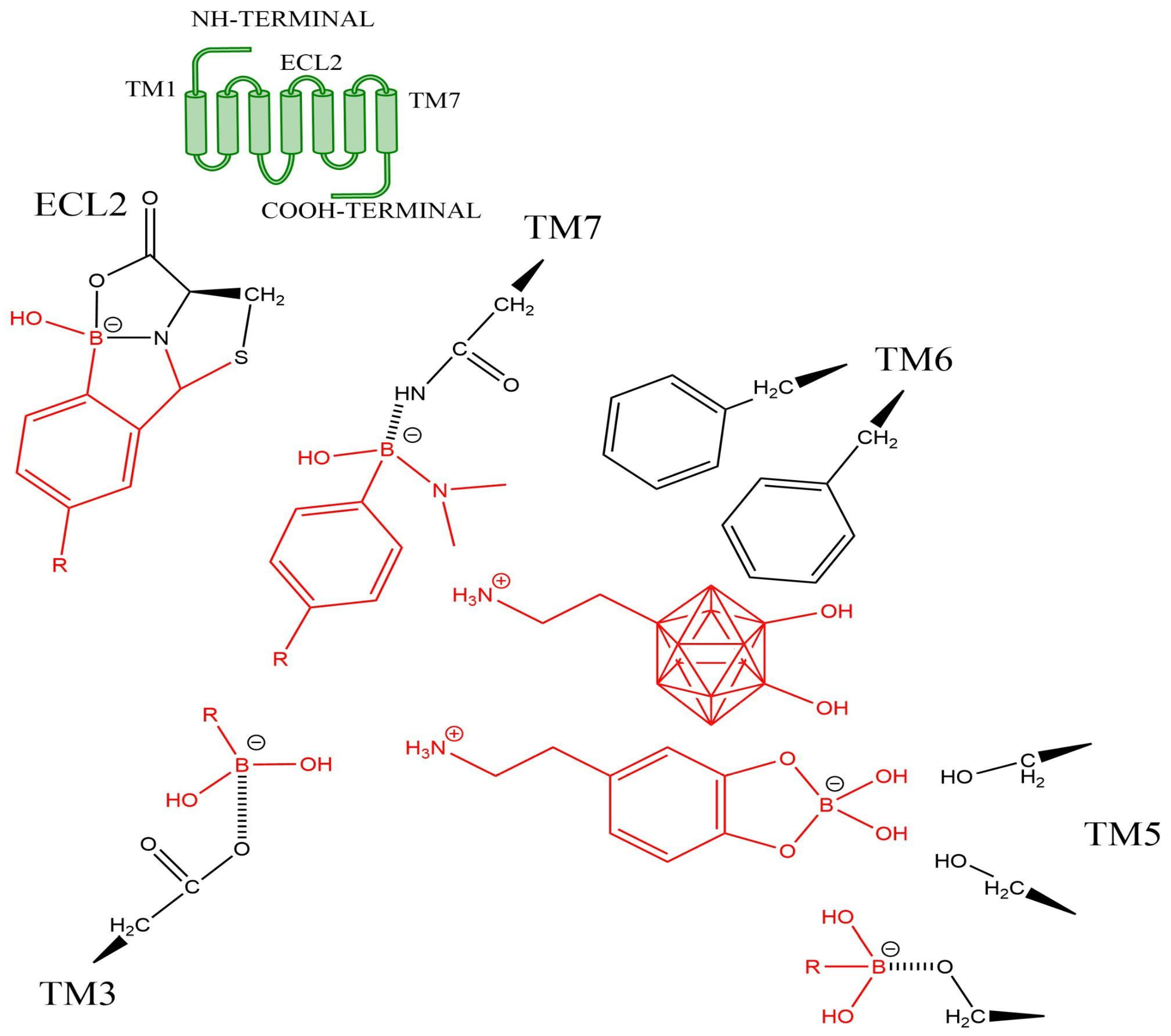 Preprints 149055 g004
