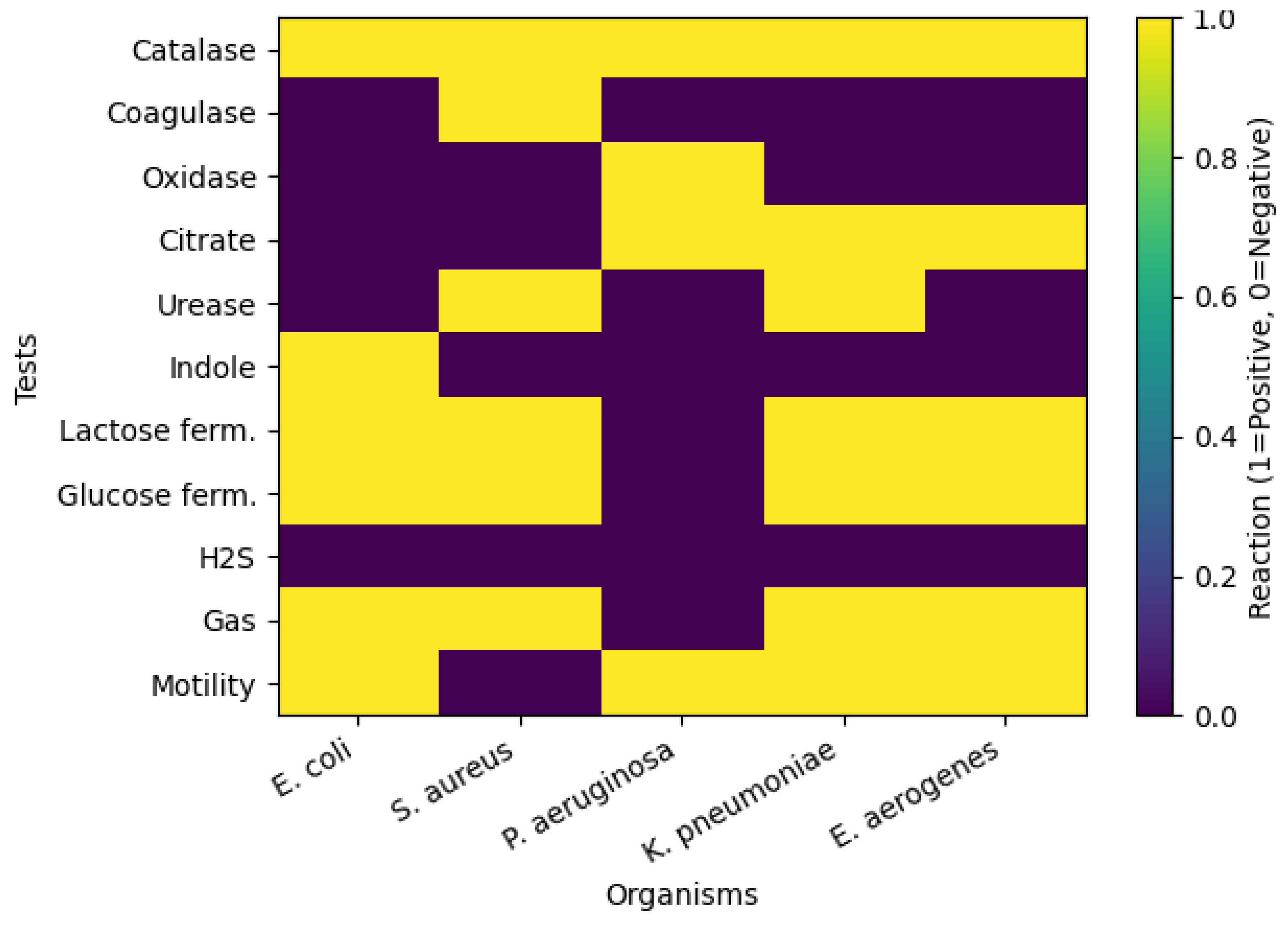 Unseen Threats in Our Water: Assessing Bacterial Contamination in ...