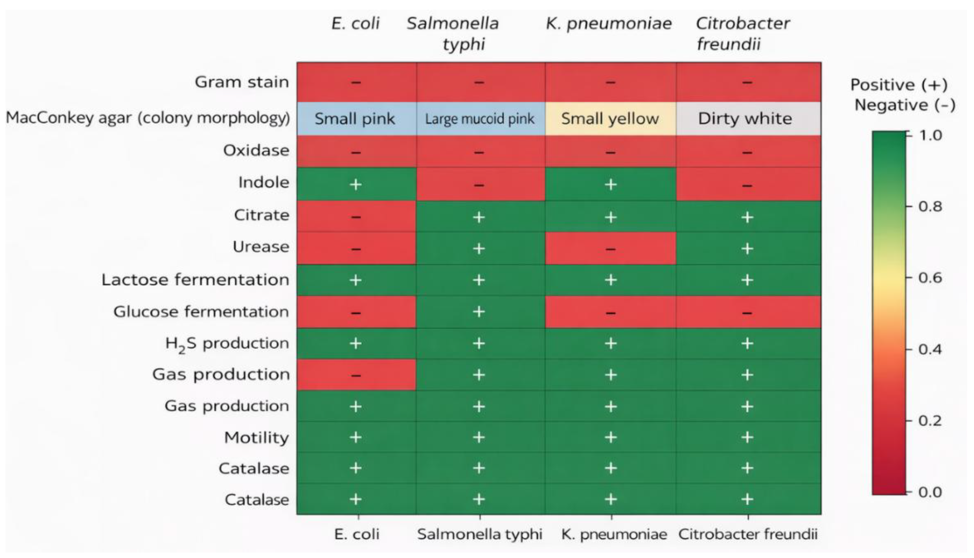 Unseen Threats in Our Water: Assessing Bacterial Contamination in ...